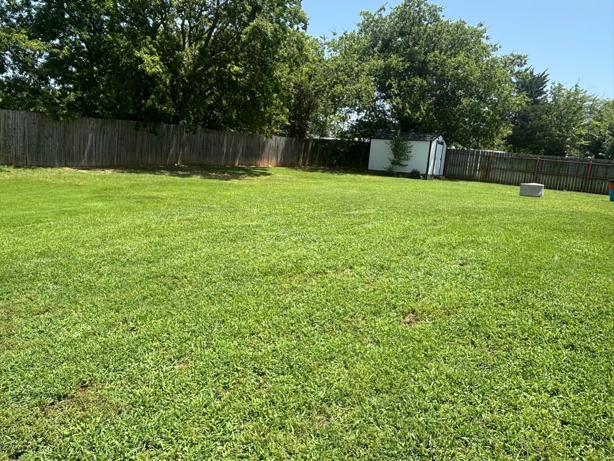 Backyard South