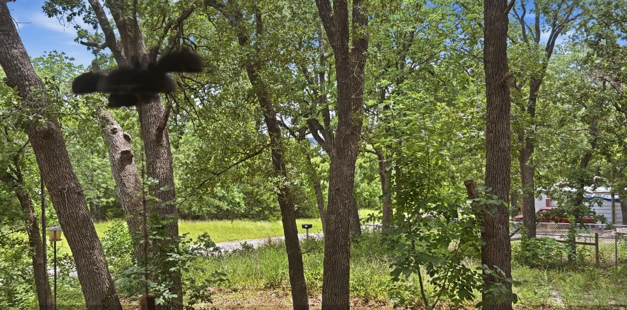 Lake Texoma is visible thru the trees