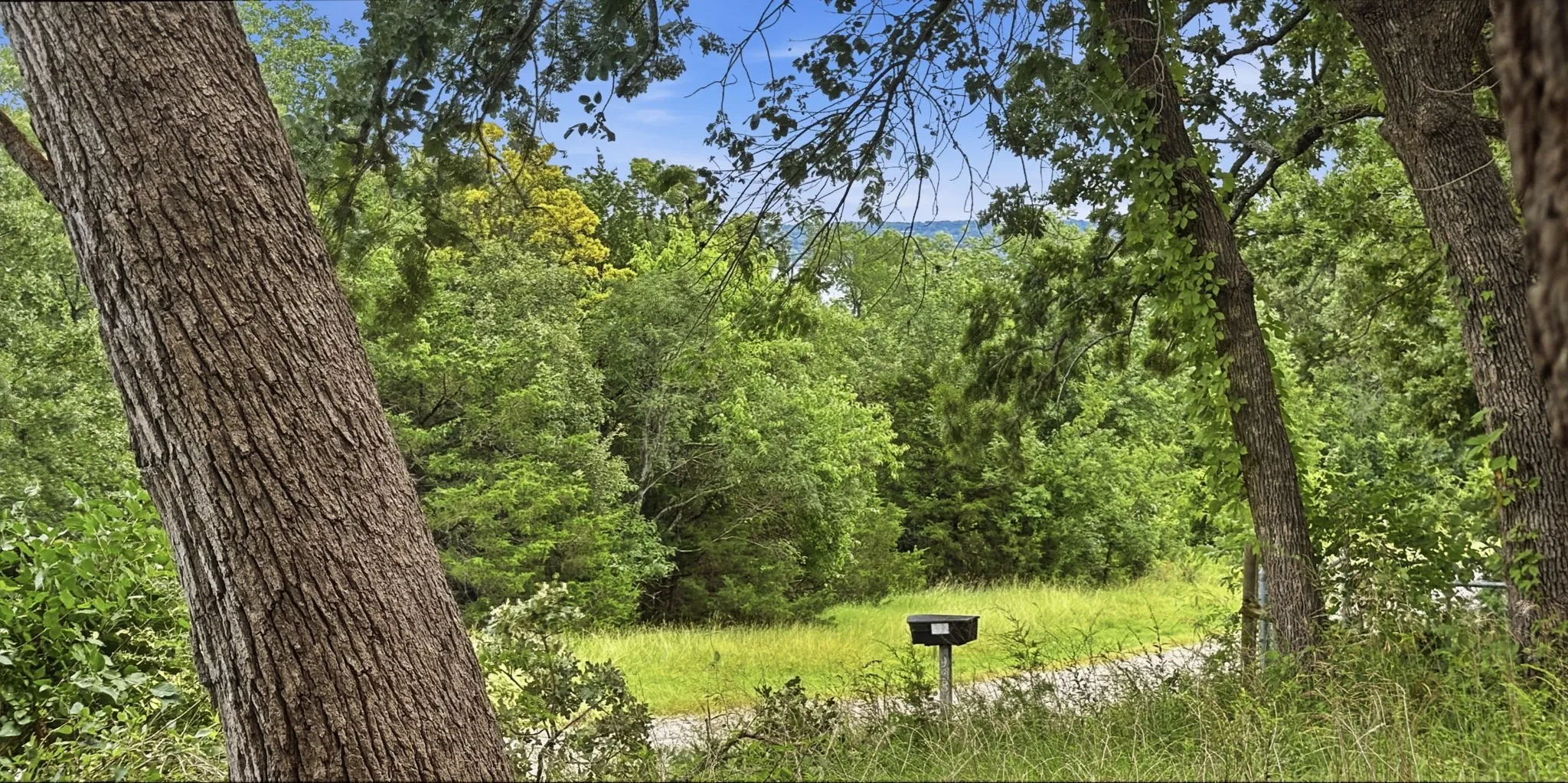 Lake Texoma is visible thru the trees