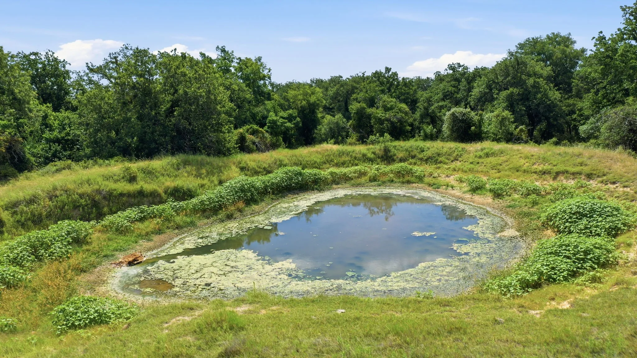Farm For Sale in Erath County , 3624 County Road 398, Stephenville, Texas 76401, 4 Bedroom, 2 Bathroom, 2 Garage spaces, 2,040 Sqft, built in 1999, mls#21321095, Real Estate Agent in Stephenville, Homes For Sale in Erath county, Homes For Sale in Stephenville, Realtor in Stephenville Texas, Real Estate Brokerage Independent Realty Texas, Luminita Cordes Realtor