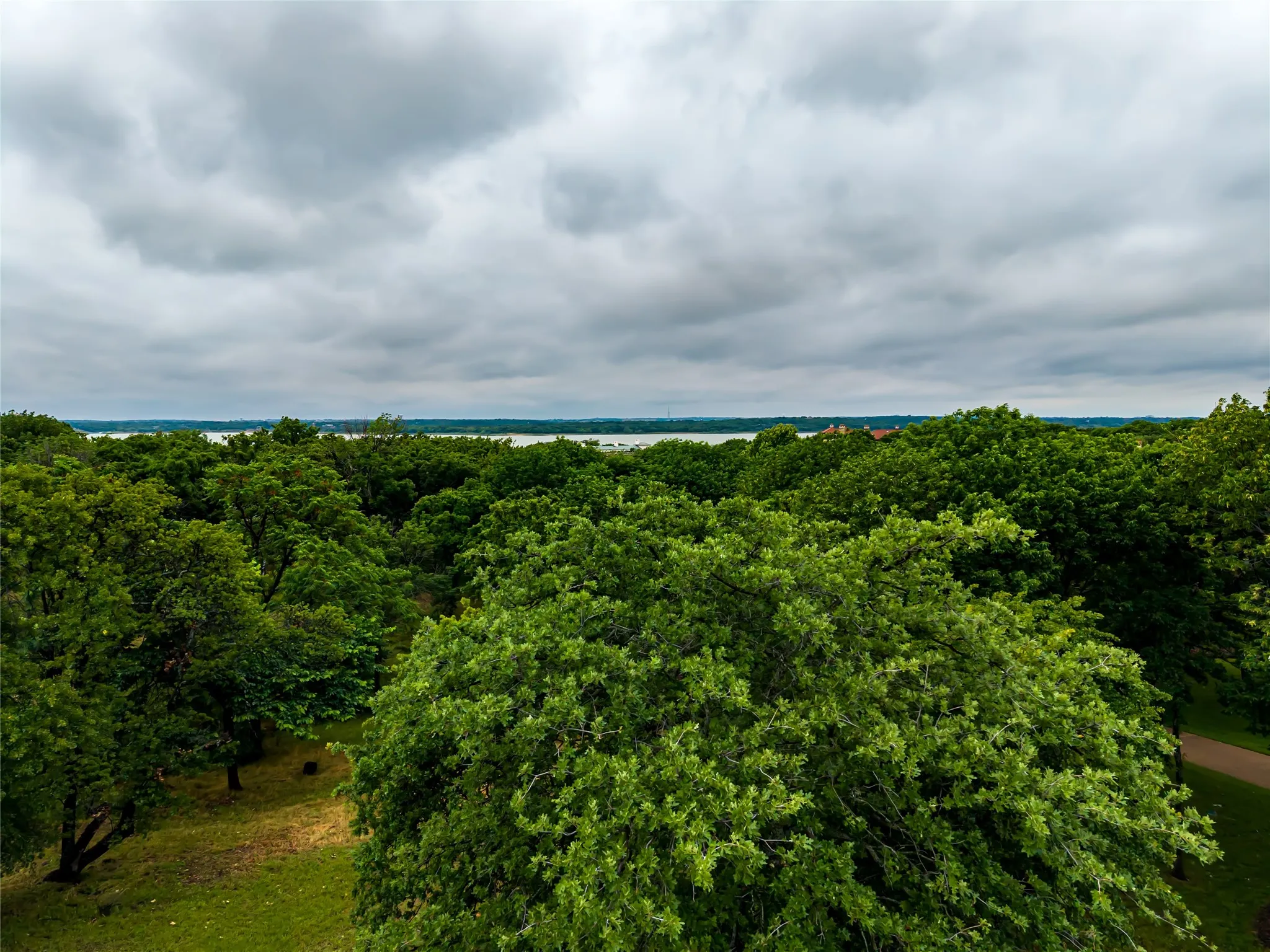 Treetop and lake-horizon view from the elevated 2.26-acre homesite