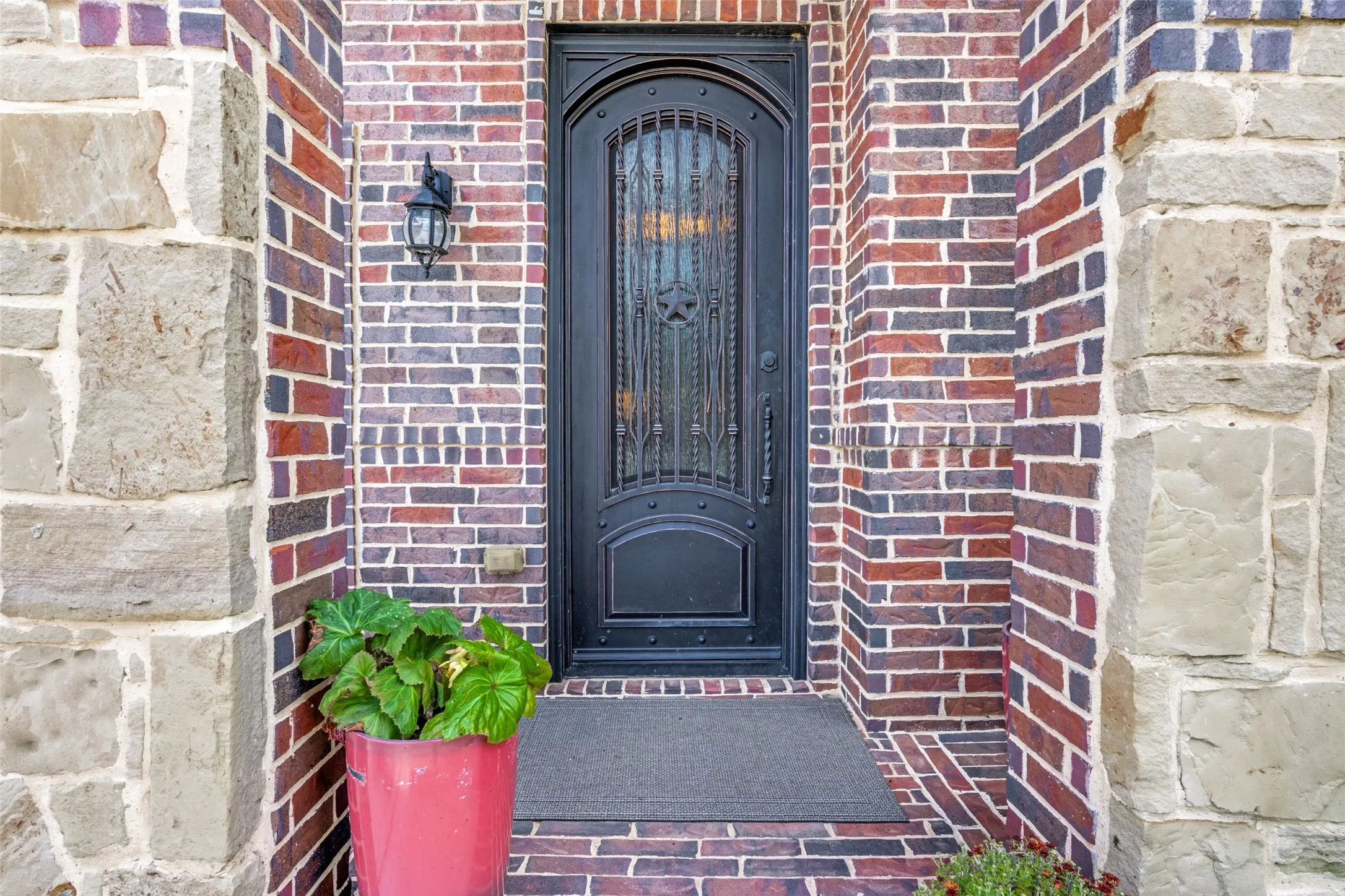 Beautiful Iron Front Door