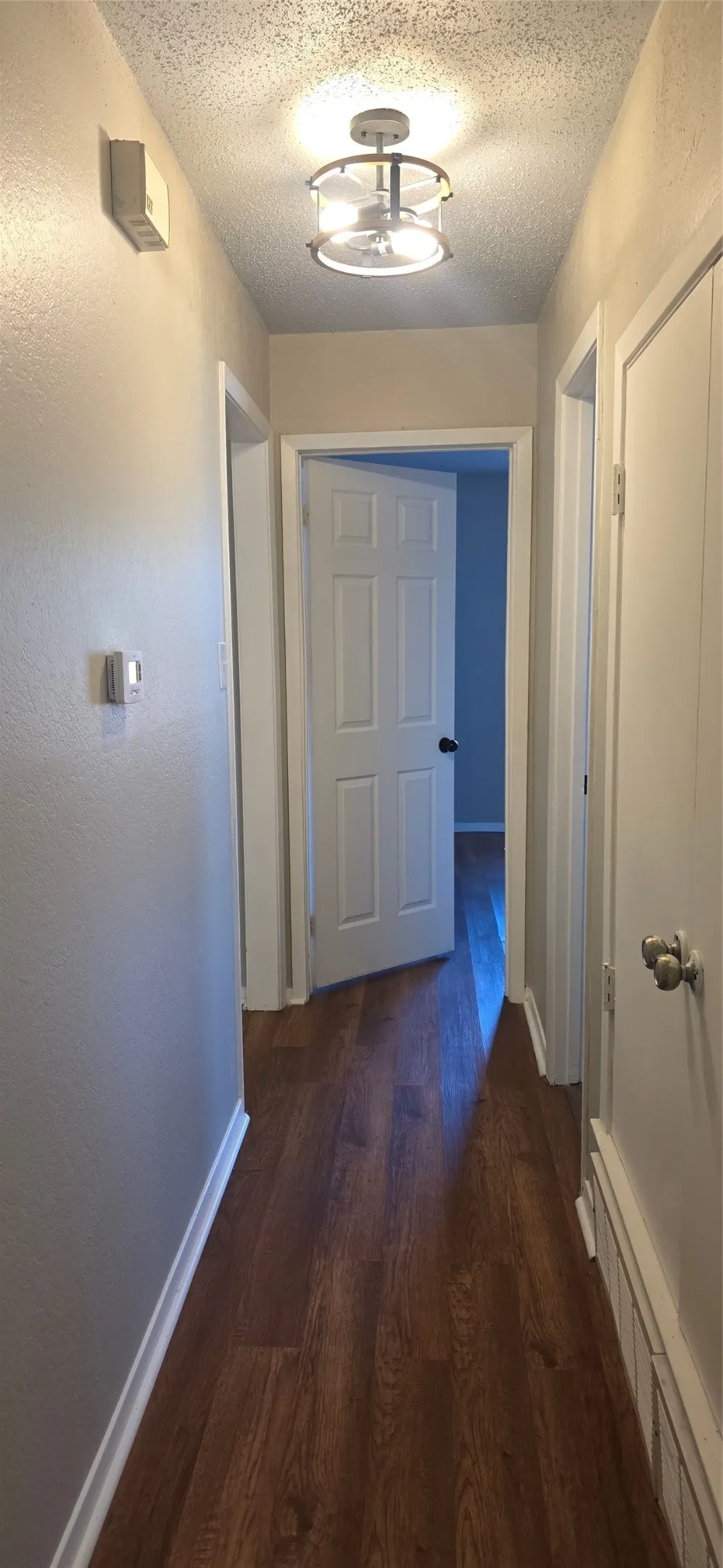 Wood-finish flooring throughout, modern flush-mount lighting, and paneled interior doors