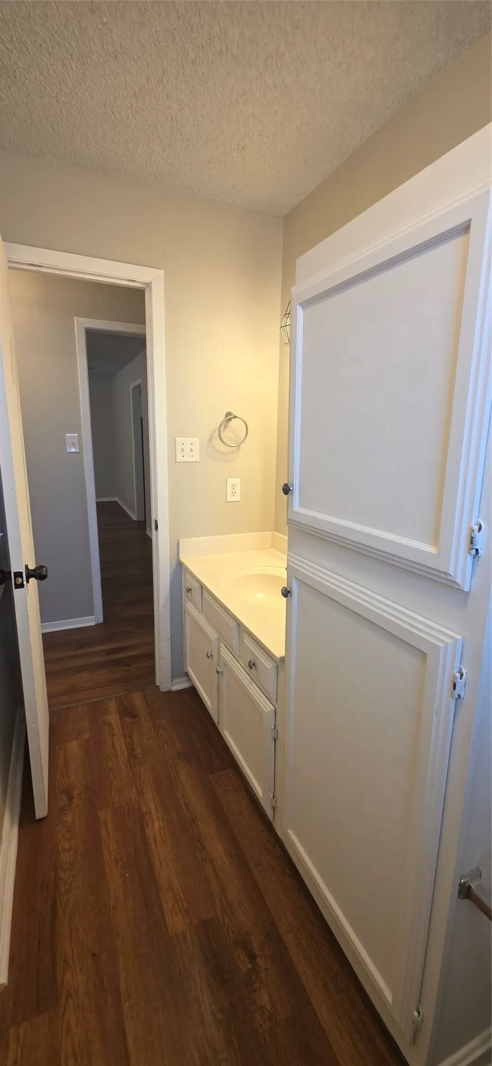 White vanity with integrated sink, wood-finish flooring, and white built-in cabinetry