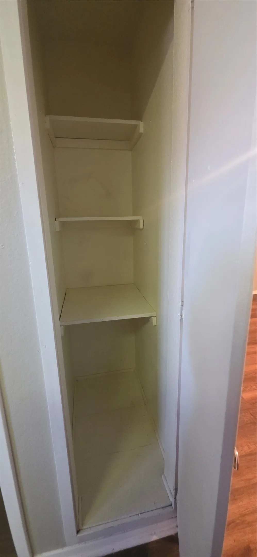 Built-in storage cabinet with multiple shelves