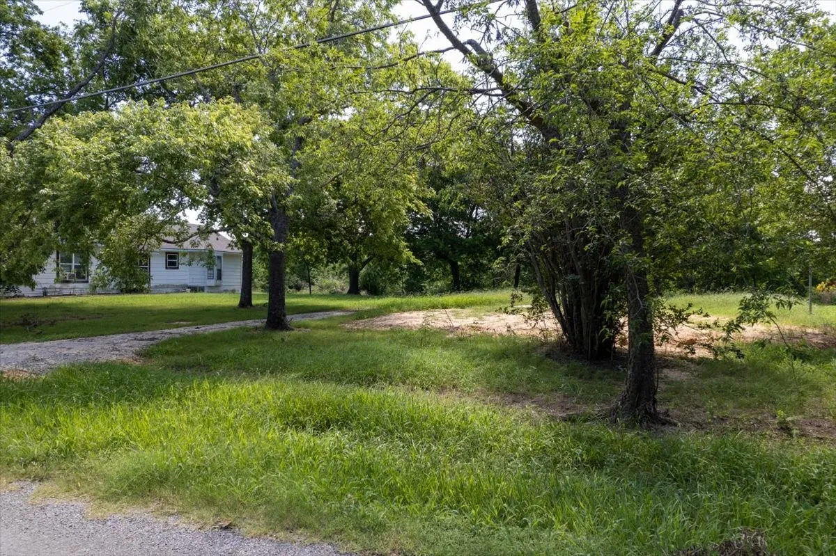 Mature tree canopy — peaceful lot interior