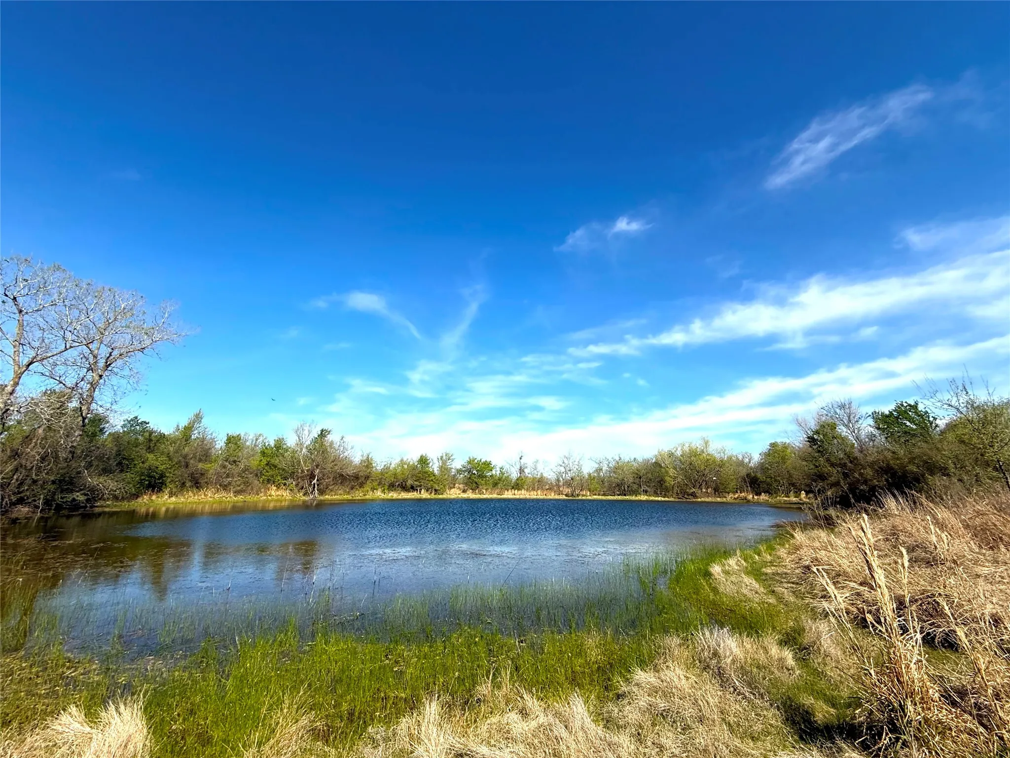 Farm For Sale in Falls County , 3005 US Highway 77, Lott, Texas 76656, 6 Bedroom, 5 Bathroom, Garage spaces, 4,792 Sqft, built in 1982, mls#21321574, Real Estate Agent in Lott, Homes For Sale in Falls county, Homes For Sale in Lott, Realtor in Lott Texas, Real Estate Brokerage Independent Realty Texas, Luminita Cordes Realtor