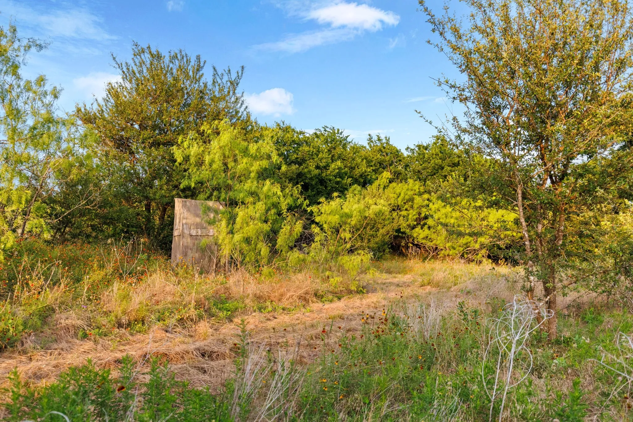 Farm For Sale in Falls County , 3005 US Highway 77, Lott, Texas 76656, 6 Bedroom, 5 Bathroom, Garage spaces, 4,792 Sqft, built in 1982, mls#21321574, Real Estate Agent in Lott, Homes For Sale in Falls county, Homes For Sale in Lott, Realtor in Lott Texas, Real Estate Brokerage Independent Realty Texas, Luminita Cordes Realtor
