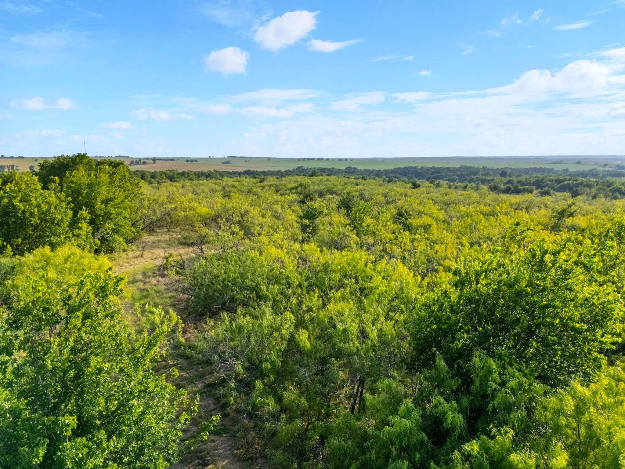 Farm For Sale in Falls County , 3005 US Highway 77, Lott, Texas 76656, 6 Bedroom, 5 Bathroom, Garage spaces, 4,792 Sqft, built in 1982, mls#21321574, Real Estate Agent in Lott, Homes For Sale in Falls county, Homes For Sale in Lott, Realtor in Lott Texas, Real Estate Brokerage Independent Realty Texas, Luminita Cordes Realtor