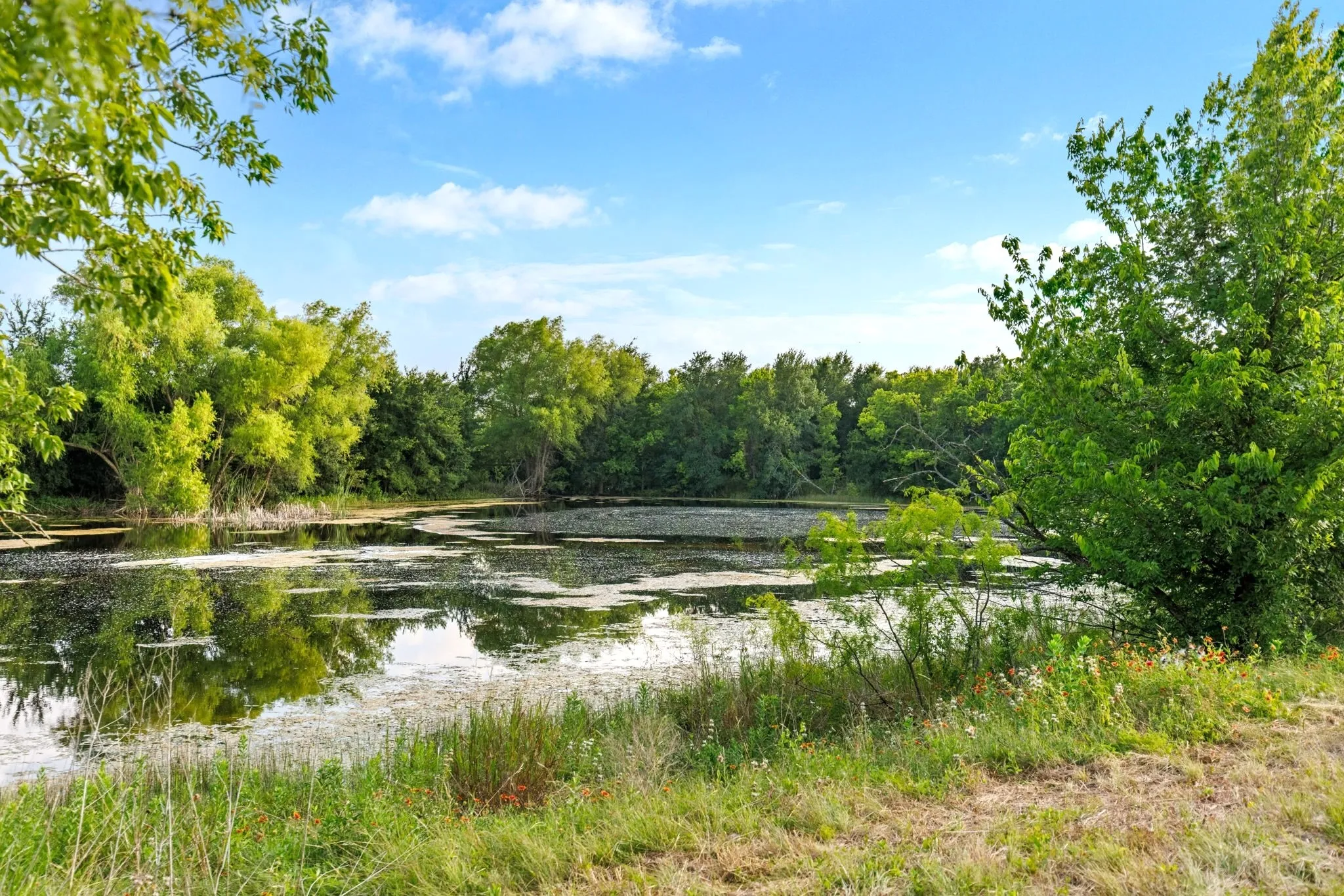 Farm For Sale in Falls County , 3005 US Highway 77, Lott, Texas 76656, 6 Bedroom, 5 Bathroom, Garage spaces, 4,792 Sqft, built in 1982, mls#21321574, Real Estate Agent in Lott, Homes For Sale in Falls county, Homes For Sale in Lott, Realtor in Lott Texas, Real Estate Brokerage Independent Realty Texas, Luminita Cordes Realtor