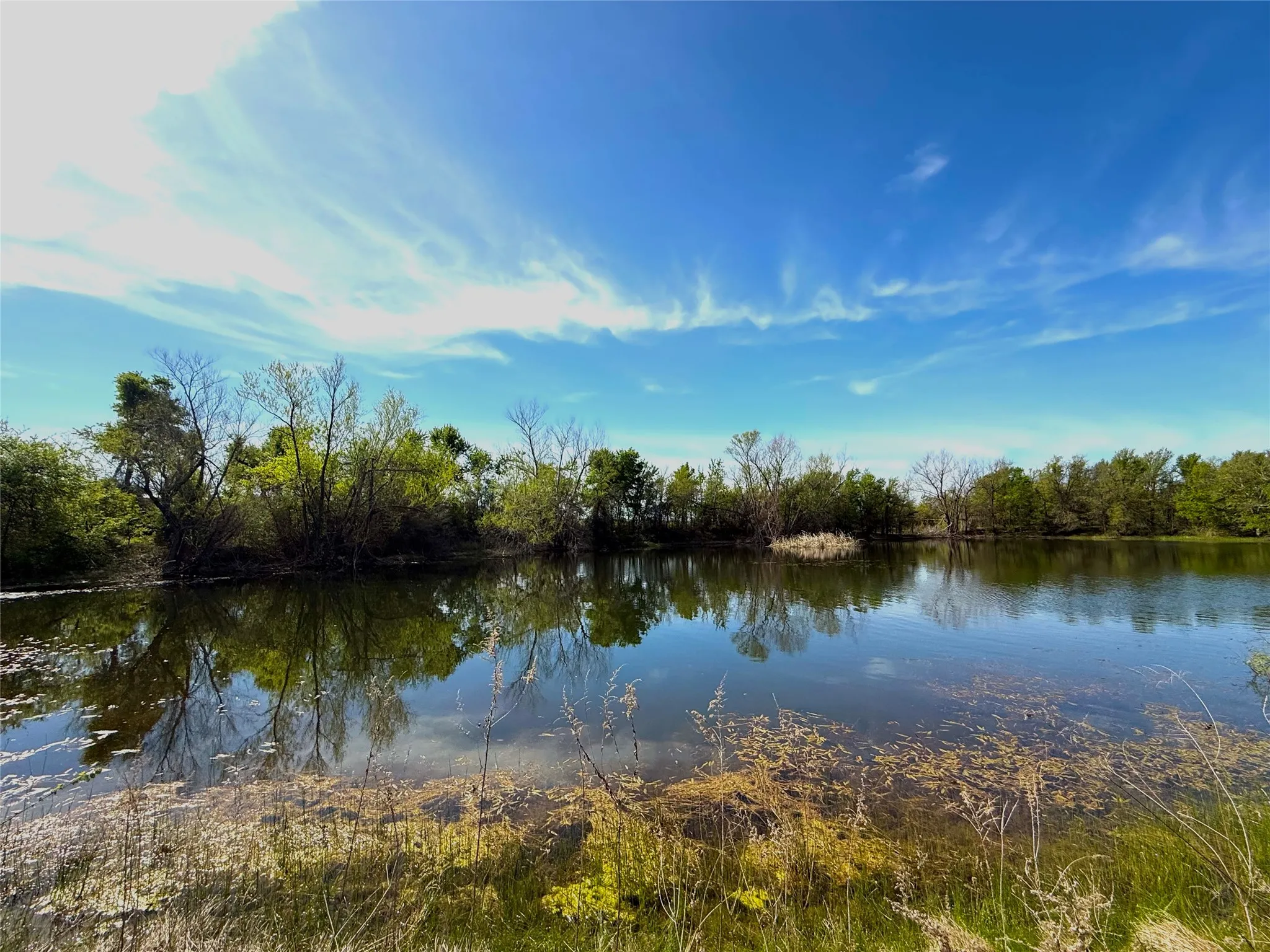 Farm For Sale in Falls County , 3005 US Highway 77, Lott, Texas 76656, 6 Bedroom, 5 Bathroom, Garage spaces, 4,792 Sqft, built in 1982, mls#21321574, Real Estate Agent in Lott, Homes For Sale in Falls county, Homes For Sale in Lott, Realtor in Lott Texas, Real Estate Brokerage Independent Realty Texas, Luminita Cordes Realtor