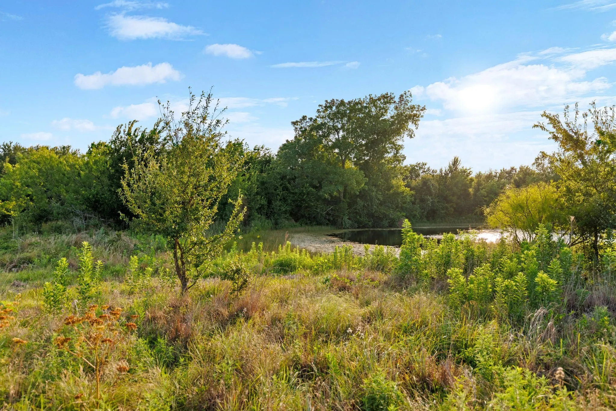 Farm For Sale in Falls County , 3005 US Highway 77, Lott, Texas 76656, 6 Bedroom, 5 Bathroom, Garage spaces, 4,792 Sqft, built in 1982, mls#21321574, Real Estate Agent in Lott, Homes For Sale in Falls county, Homes For Sale in Lott, Realtor in Lott Texas, Real Estate Brokerage Independent Realty Texas, Luminita Cordes Realtor