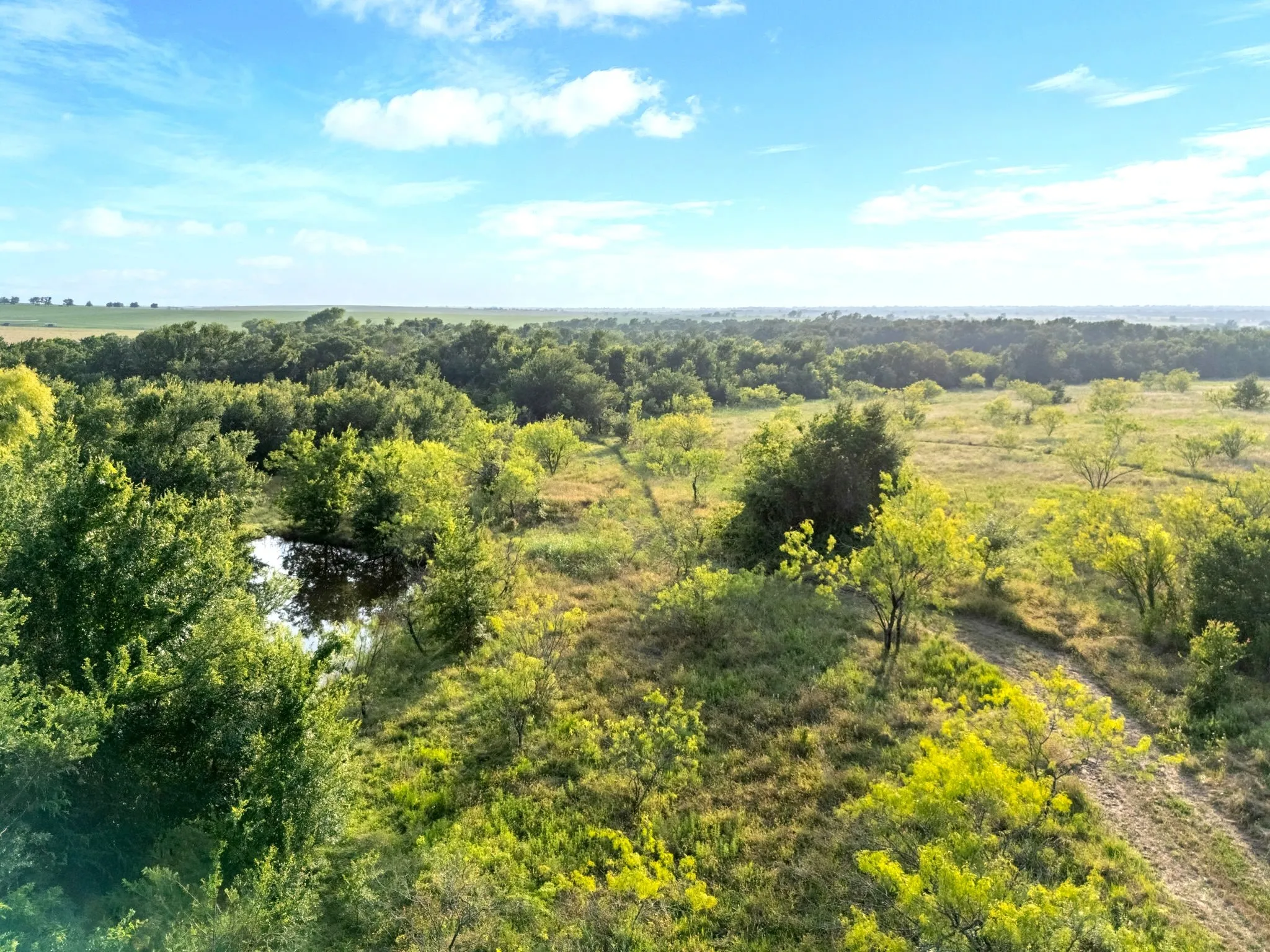 Farm For Sale in Falls County , 3005 US Highway 77, Lott, Texas 76656, 6 Bedroom, 5 Bathroom, Garage spaces, 4,792 Sqft, built in 1982, mls#21321574, Real Estate Agent in Lott, Homes For Sale in Falls county, Homes For Sale in Lott, Realtor in Lott Texas, Real Estate Brokerage Independent Realty Texas, Luminita Cordes Realtor