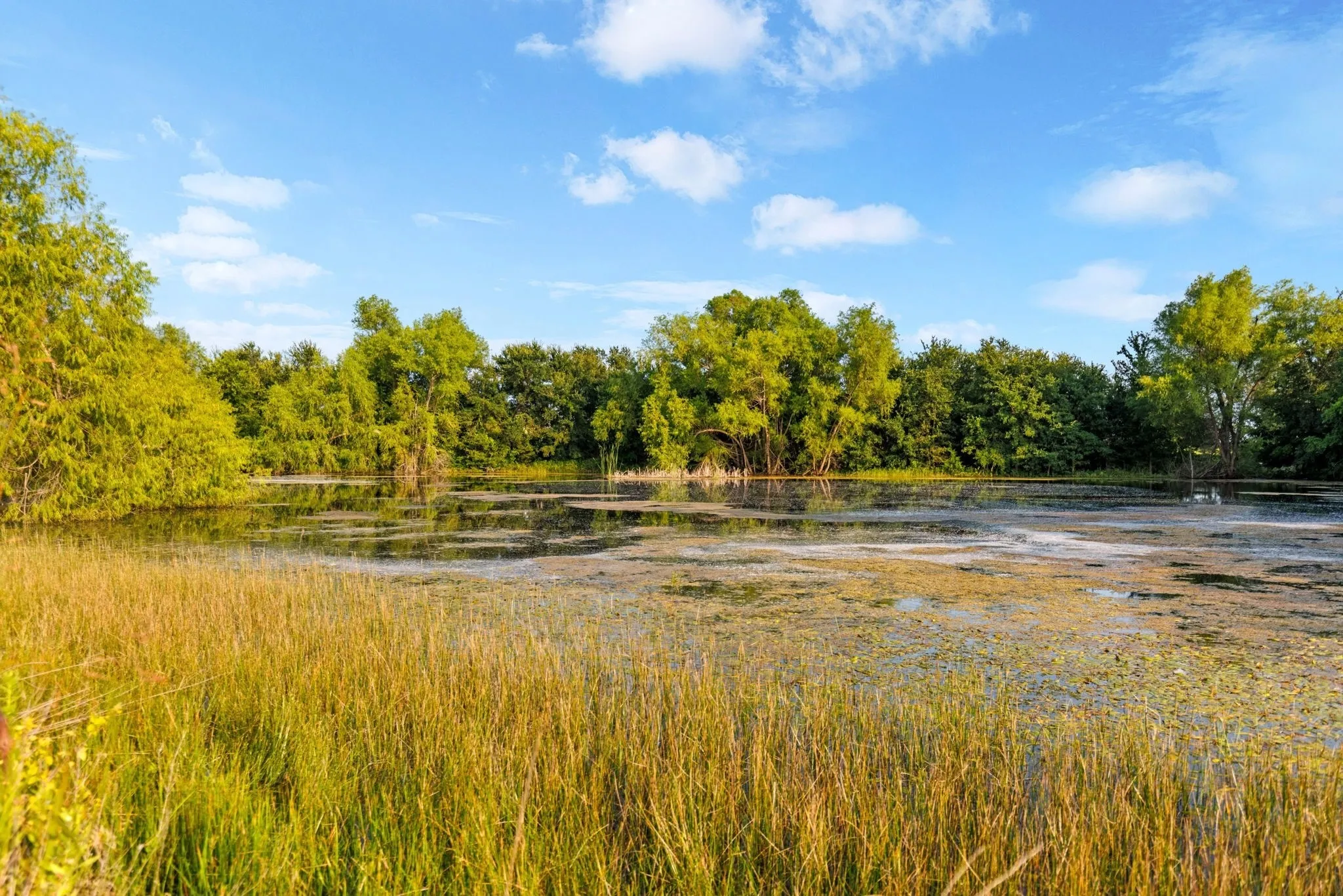 Farm For Sale in Falls County , 3005 US Highway 77, Lott, Texas 76656, 6 Bedroom, 5 Bathroom, Garage spaces, 4,792 Sqft, built in 1982, mls#21321574, Real Estate Agent in Lott, Homes For Sale in Falls county, Homes For Sale in Lott, Realtor in Lott Texas, Real Estate Brokerage Independent Realty Texas, Luminita Cordes Realtor