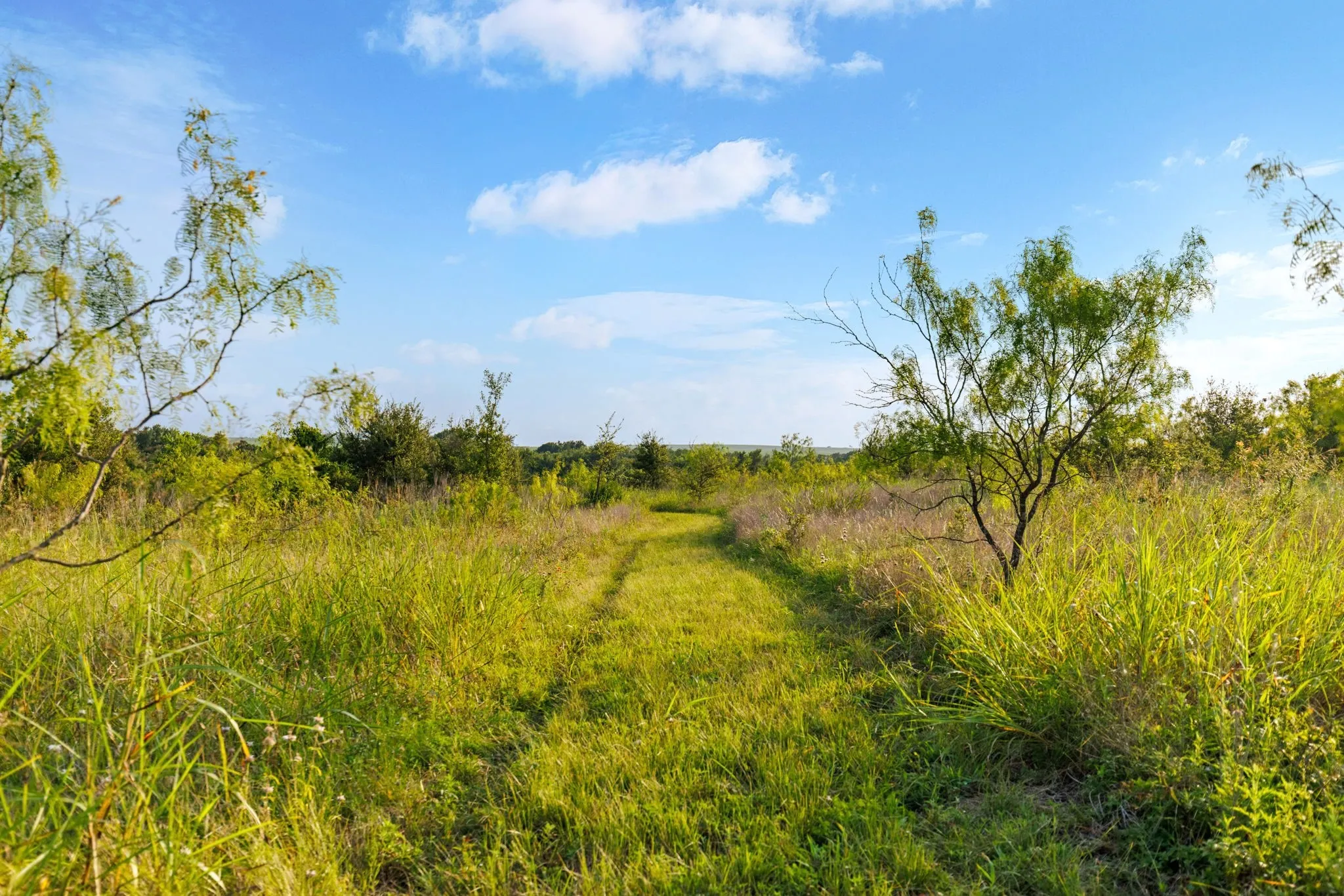 Farm For Sale in Falls County , 3005 US Highway 77, Lott, Texas 76656, 6 Bedroom, 5 Bathroom, Garage spaces, 4,792 Sqft, built in 1982, mls#21321574, Real Estate Agent in Lott, Homes For Sale in Falls county, Homes For Sale in Lott, Realtor in Lott Texas, Real Estate Brokerage Independent Realty Texas, Luminita Cordes Realtor