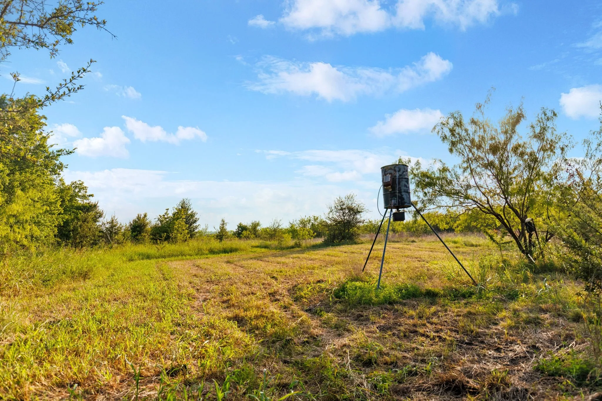 Farm For Sale in Falls County , 3005 US Highway 77, Lott, Texas 76656, 6 Bedroom, 5 Bathroom, Garage spaces, 4,792 Sqft, built in 1982, mls#21321574, Real Estate Agent in Lott, Homes For Sale in Falls county, Homes For Sale in Lott, Realtor in Lott Texas, Real Estate Brokerage Independent Realty Texas, Luminita Cordes Realtor