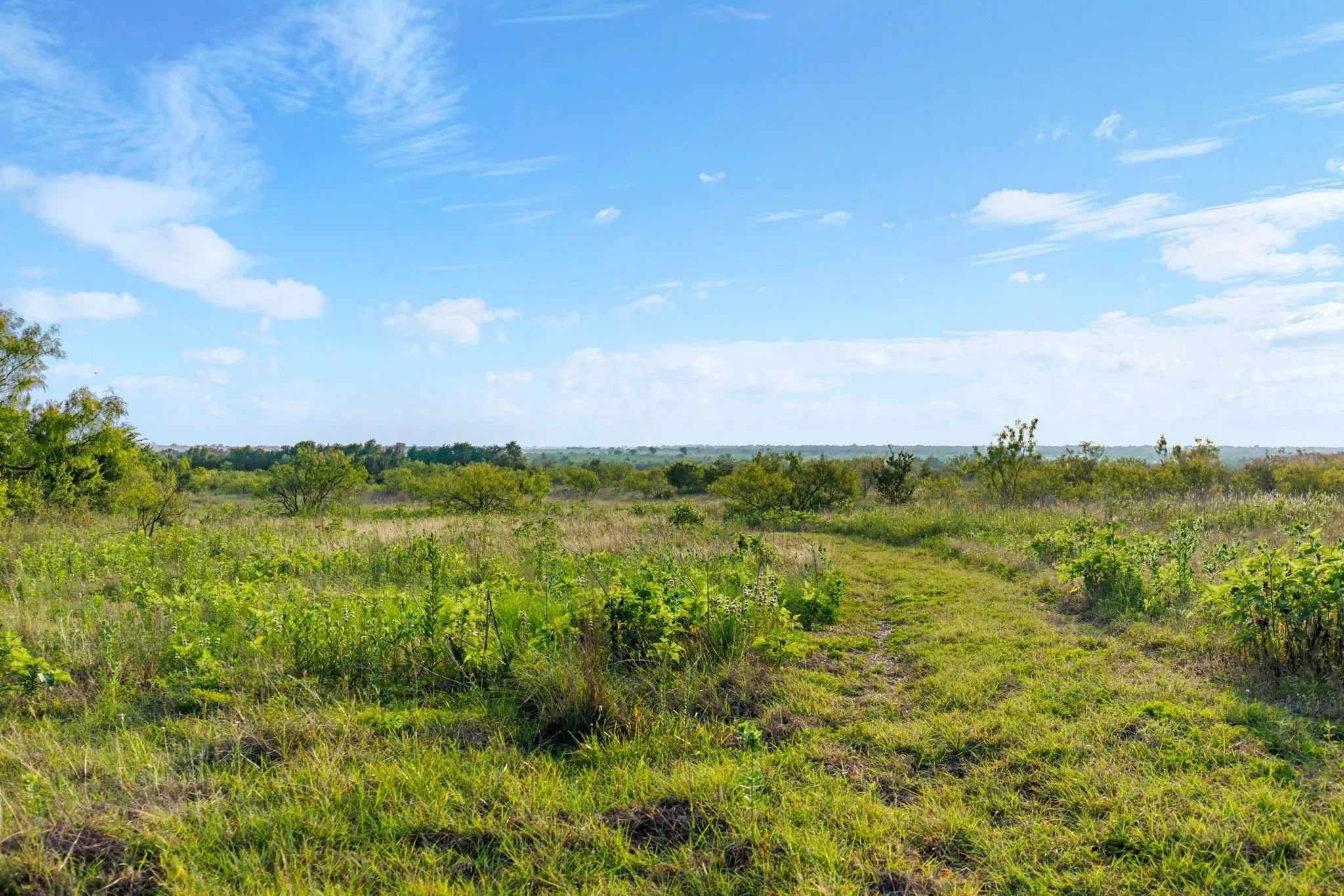 Farm For Sale in Falls County , 3005 US Highway 77, Lott, Texas 76656, 6 Bedroom, 5 Bathroom, Garage spaces, 4,792 Sqft, built in 1982, mls#21321574, Real Estate Agent in Lott, Homes For Sale in Falls county, Homes For Sale in Lott, Realtor in Lott Texas, Real Estate Brokerage Independent Realty Texas, Luminita Cordes Realtor