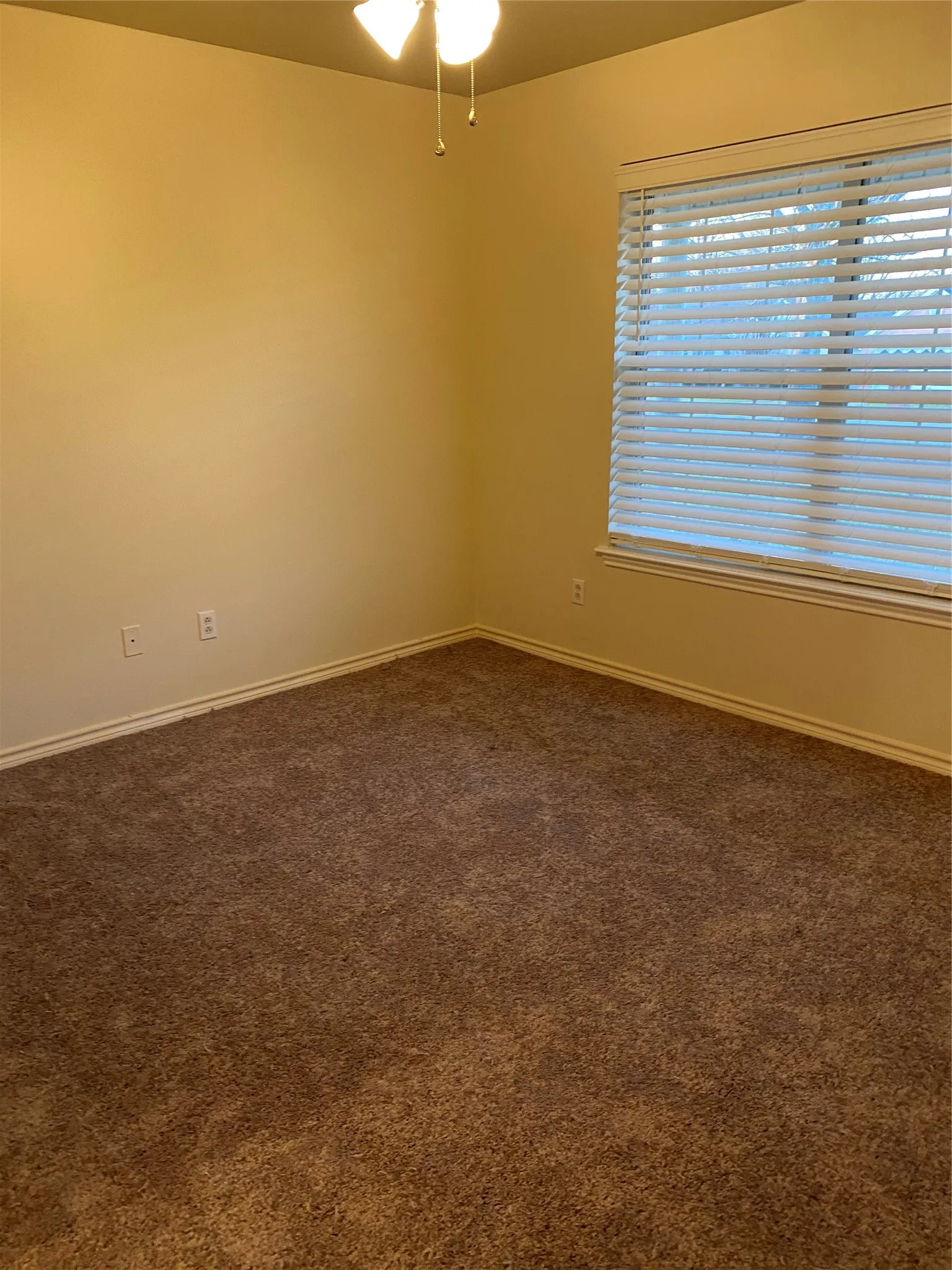 BRAND NEW CARPET