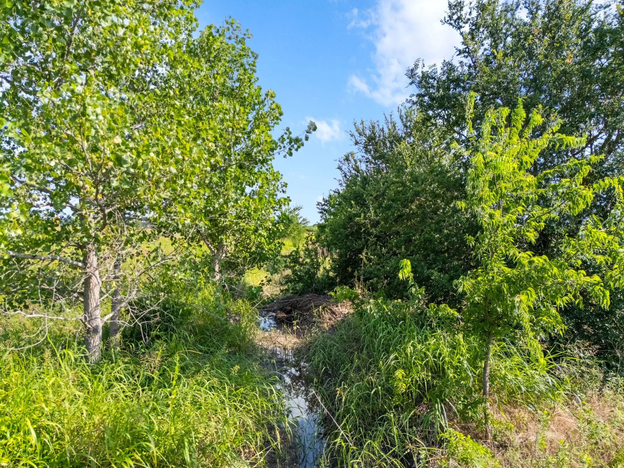Unimproved Land For Sale in Mc Lennan County , 107.48 ac. TBD County Line Parkway, Mart, Texas 76664, 0, 0, Garage spaces, 0 Sqft, built in 0, Price $789,000, mls#21321595, Real Estate Agent in Mart, Homes For Sale in Mc Lennan county, Homes For Sale in Mart, Realtor in Mart Texas, Real Estate Brokerage Independent Realty Texas, Luminita Cordes Realtor