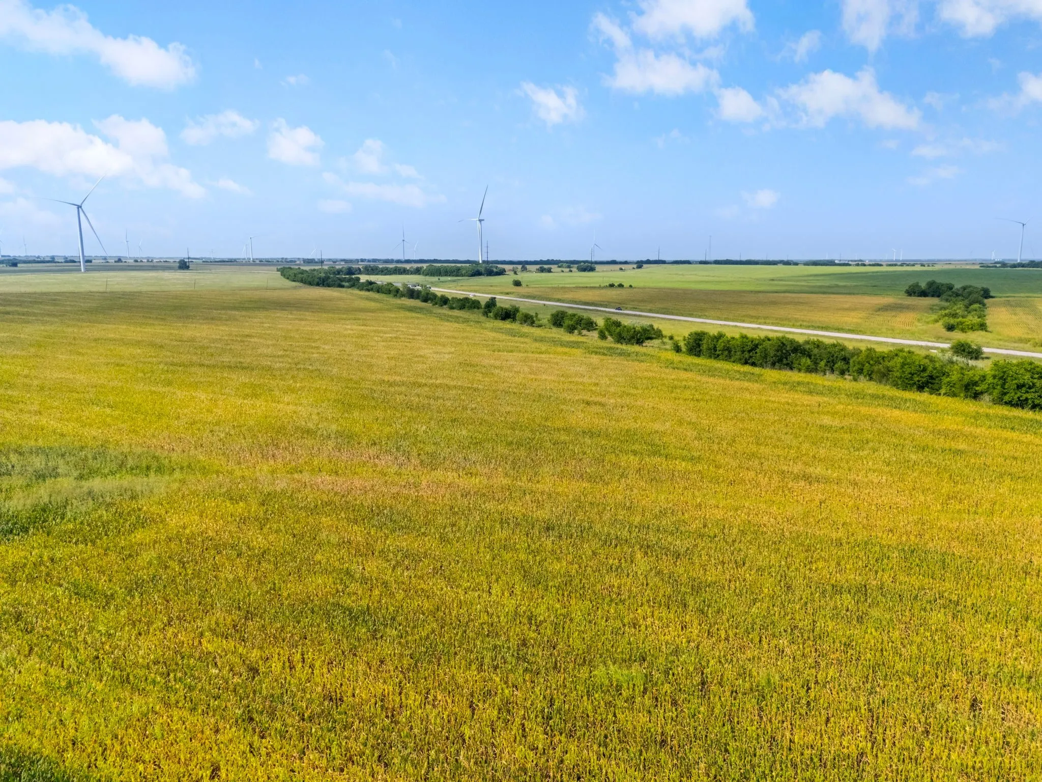 Unimproved Land For Sale in Mc Lennan County , 107.48 ac. TBD County Line Parkway, Mart, Texas 76664, 0, 0, Garage spaces, 0 Sqft, built in 0, Price $789,000, mls#21321595, Real Estate Agent in Mart, Homes For Sale in Mc Lennan county, Homes For Sale in Mart, Realtor in Mart Texas, Real Estate Brokerage Independent Realty Texas, Luminita Cordes Realtor
