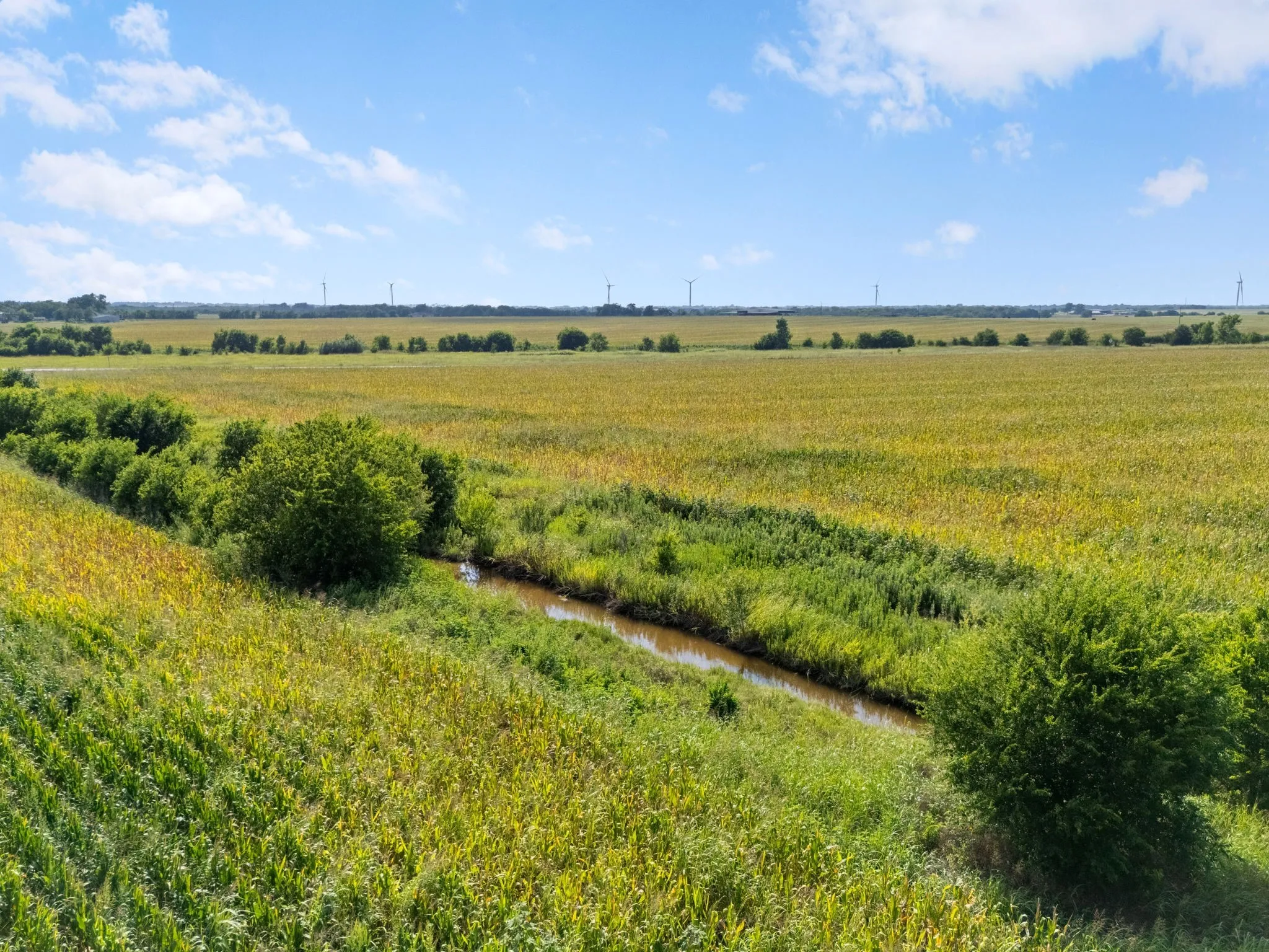 Unimproved Land For Sale in Mc Lennan County , 107.48 ac. TBD County Line Parkway, Mart, Texas 76664, 0, 0, Garage spaces, 0 Sqft, built in 0, Price $789,000, mls#21321595, Real Estate Agent in Mart, Homes For Sale in Mc Lennan county, Homes For Sale in Mart, Realtor in Mart Texas, Real Estate Brokerage Independent Realty Texas, Luminita Cordes Realtor