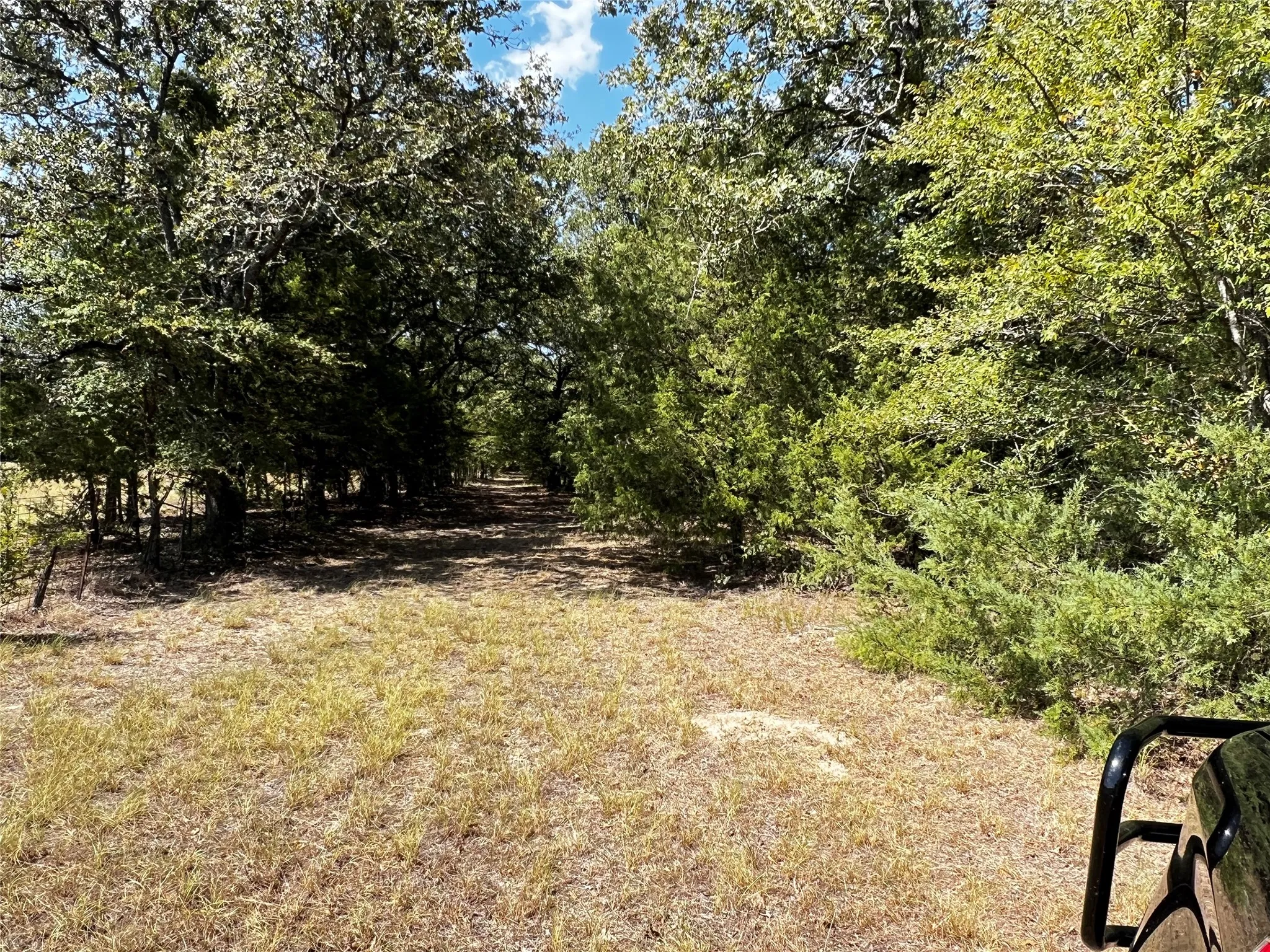 Use this cleared path to access the wooded areas and back pasture.   Cleared path runs along the West property line.