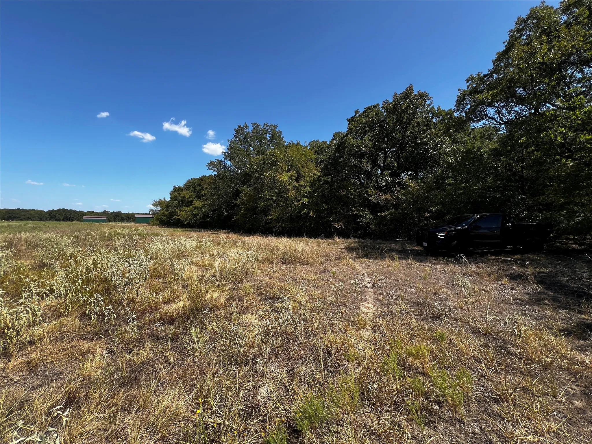 The truck shows the entrance to the cleared path to go back to the front of the property.  Pasture is on the north side of the 13 acres.
