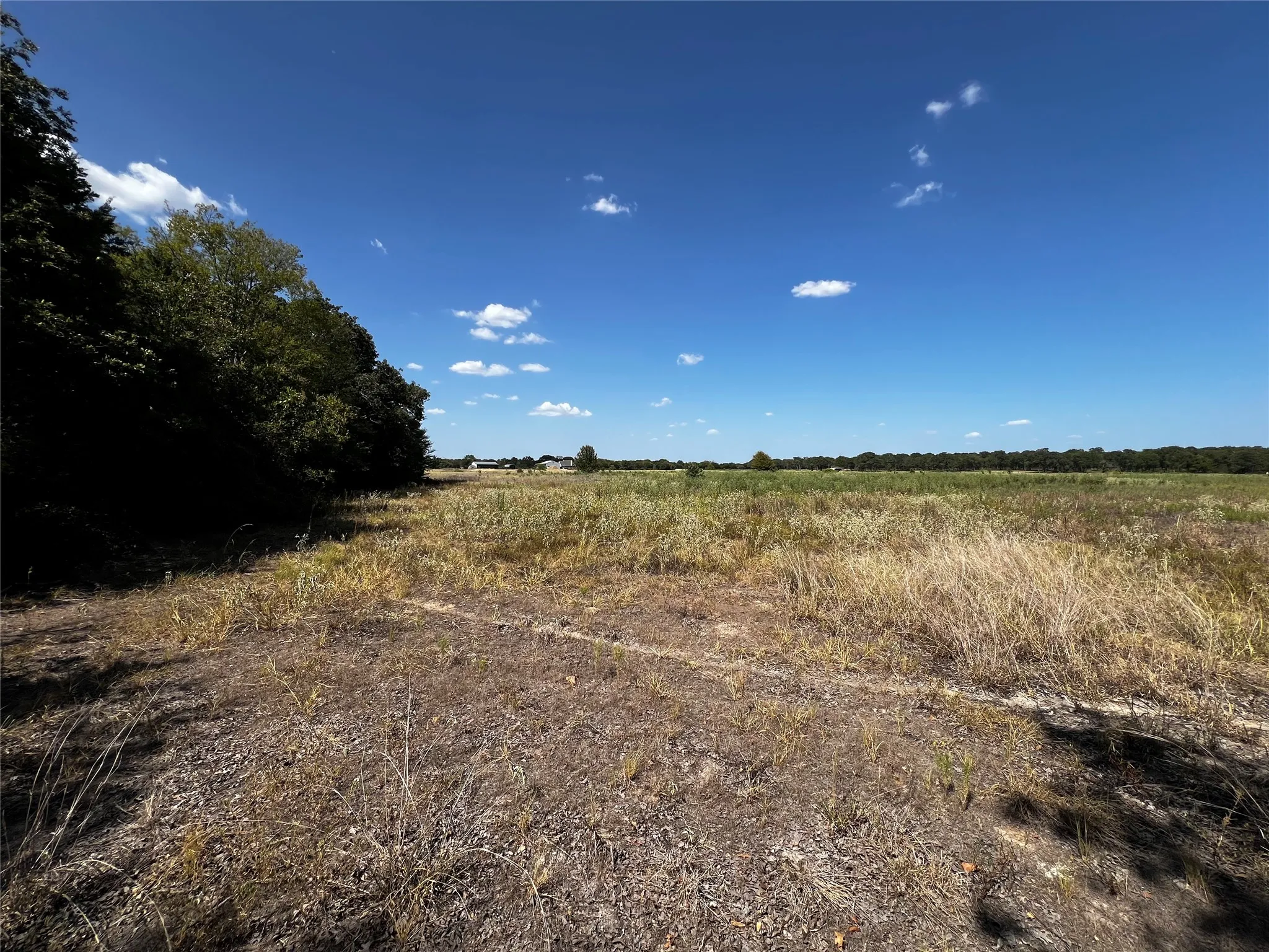 View from the end of the cleared path towards the north, along the west side property line.  Expansive open land with natural ground cover, bordered by mature trees