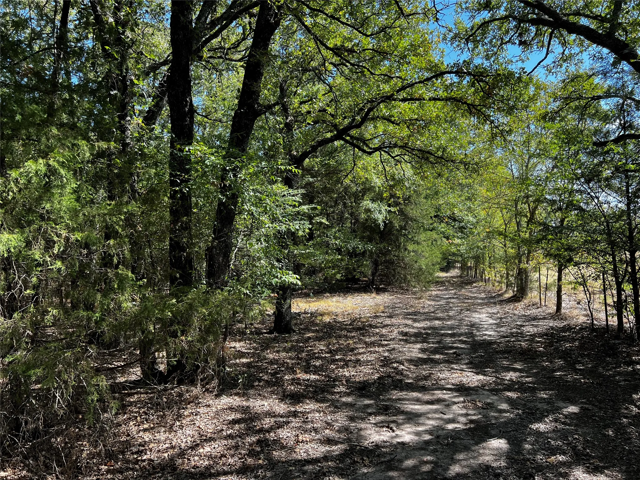 Looking down the cleared path, along the east property line, towards the front of the property from the back pasture​​‌​​​​‌​​‌‌​‌‌​​​‌‌​‌​‌​‌​​​‌​​ acreage.