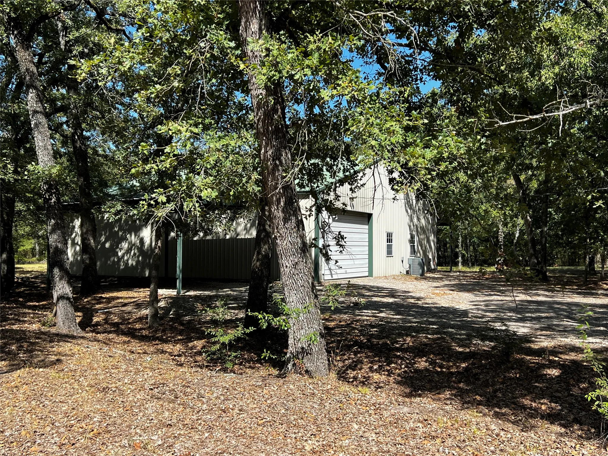 Barndo sits amount mature oak trees.