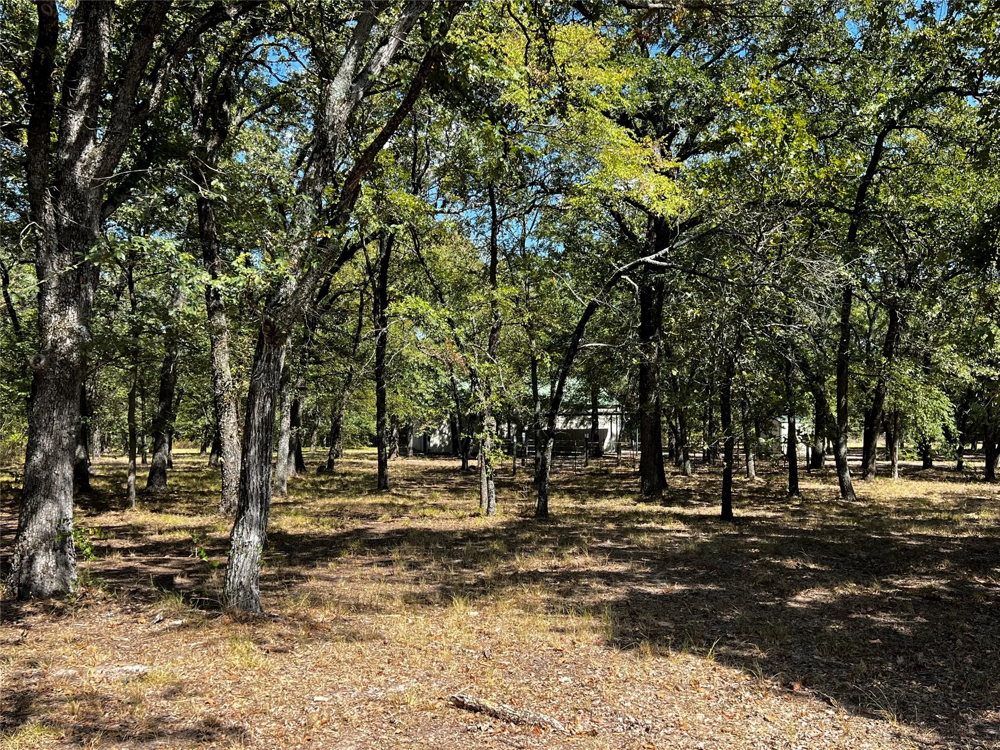 Wooded lot with mature trees and natural ground cover, Looking towards Barndo from the entry gate to the back acreage.
