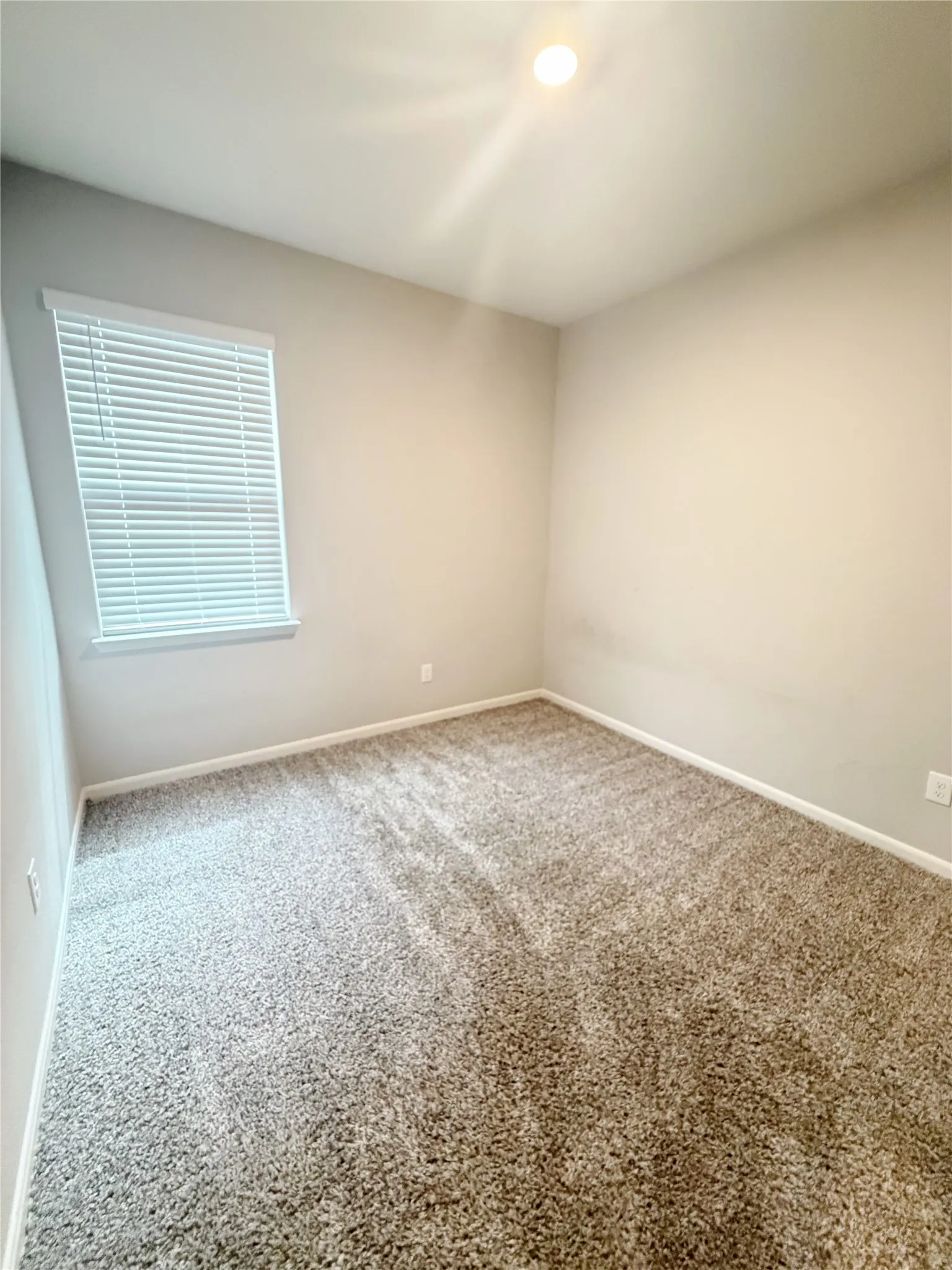 Room featuring neutral-toned walls, plush carpeting, and a window with blinds