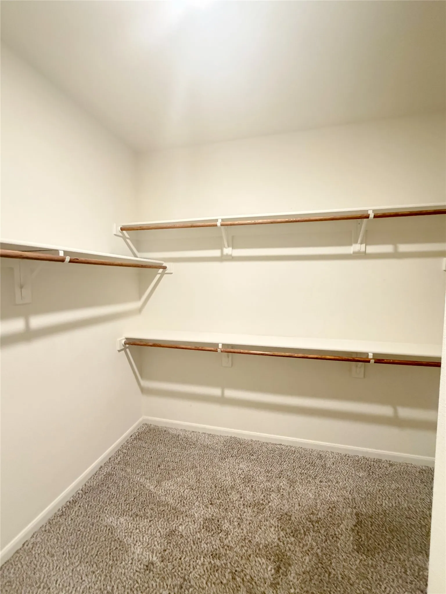 Walk-in closet featuring carpet flooring, built-in shelving, and clothes rods