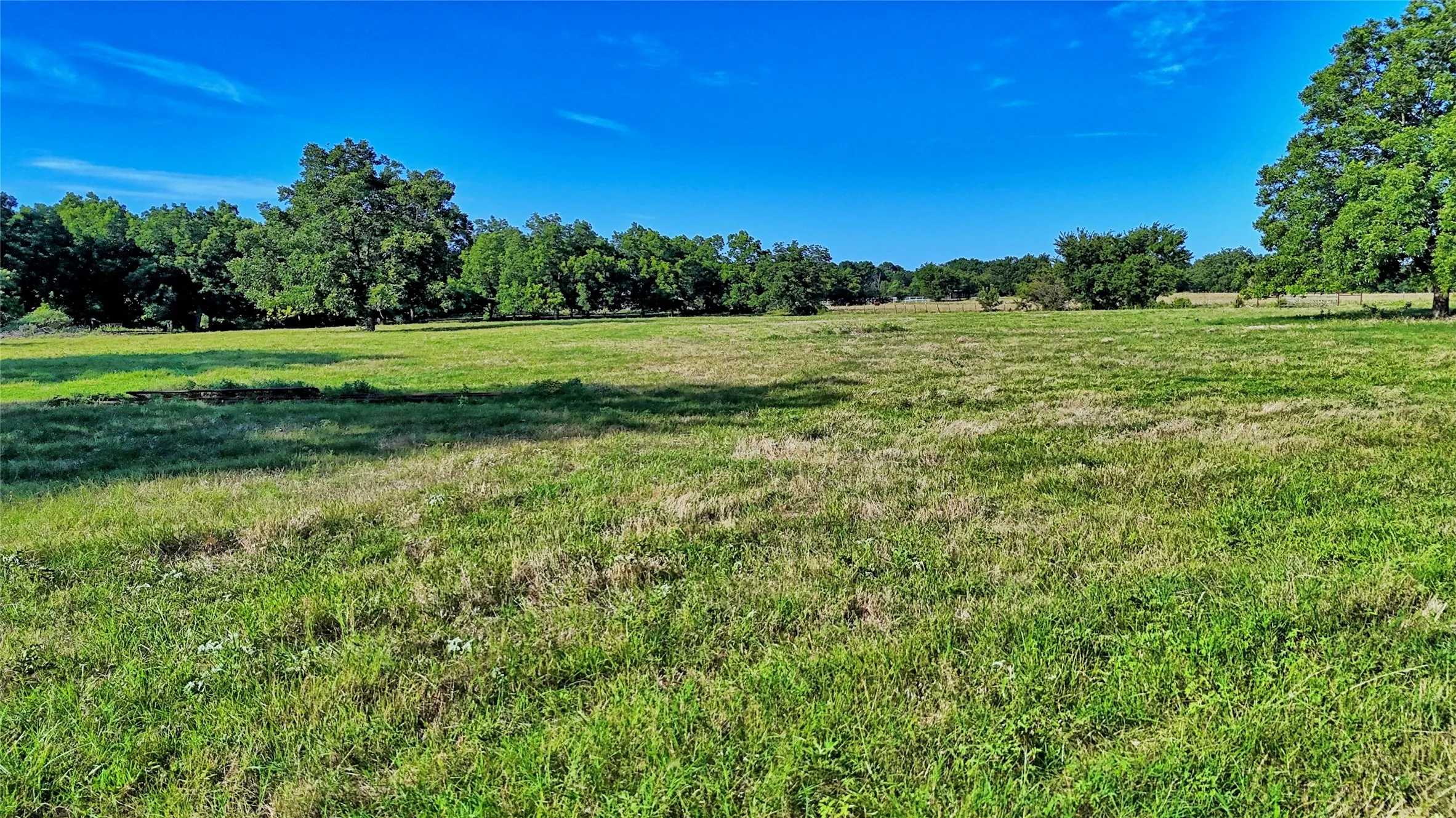 Unimproved Land For Sale in Cooke County , 1272 County Road 131, Gainesville, Texas 76240, 0, 0, Garage spaces, 0 Sqft, built in 0, mls#21321697, Real Estate Agent in Gainesville, Homes For Sale in Cooke county, Homes For Sale in Gainesville, Realtor in Gainesville Texas, Real Estate Brokerage Independent Realty Texas, Luminita Cordes Realtor