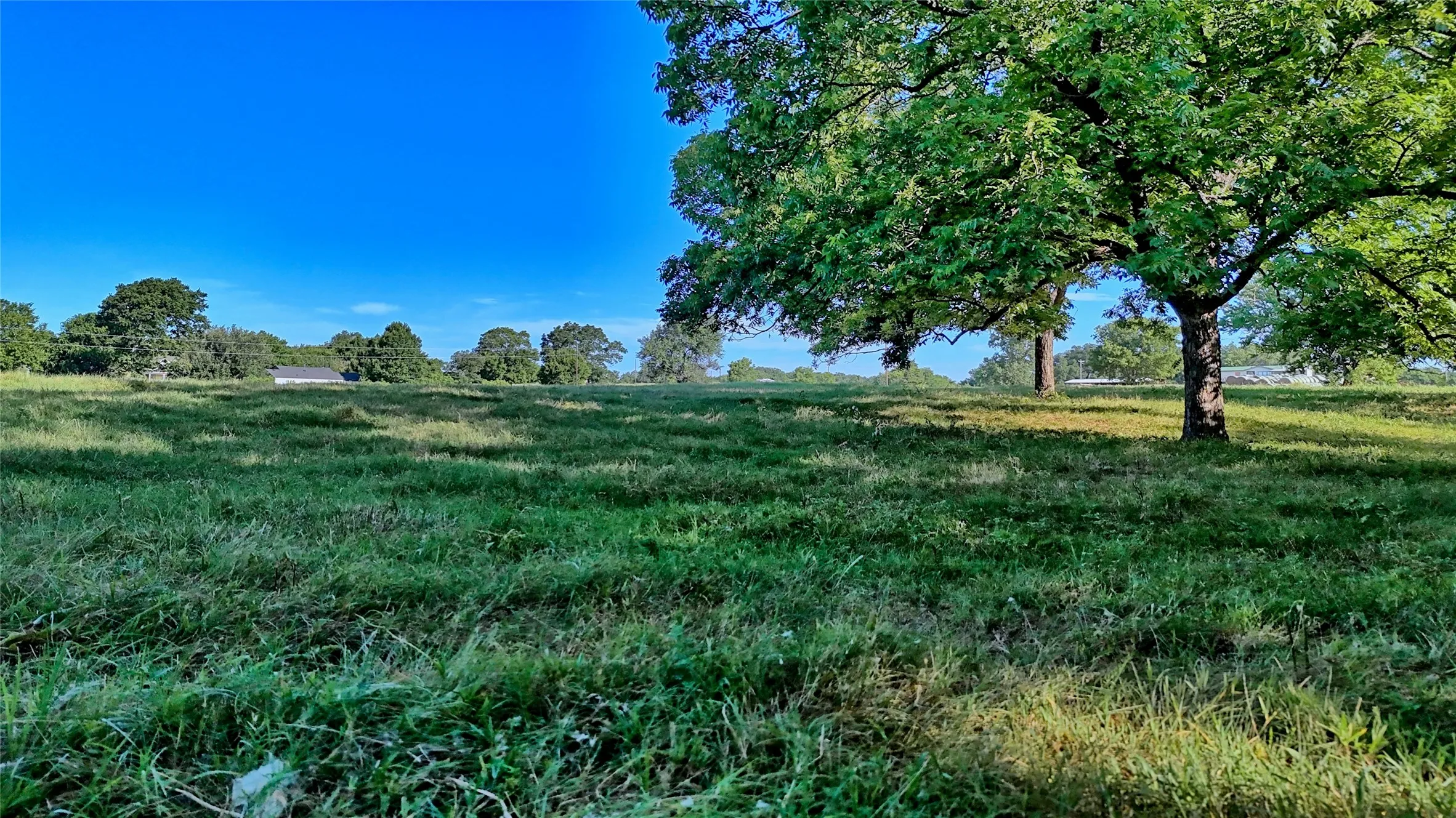 Unimproved Land For Sale in Cooke County , 1272 County Road 131, Gainesville, Texas 76240, 0, 0, Garage spaces, 0 Sqft, built in 0, mls#21321697, Real Estate Agent in Gainesville, Homes For Sale in Cooke county, Homes For Sale in Gainesville, Realtor in Gainesville Texas, Real Estate Brokerage Independent Realty Texas, Luminita Cordes Realtor