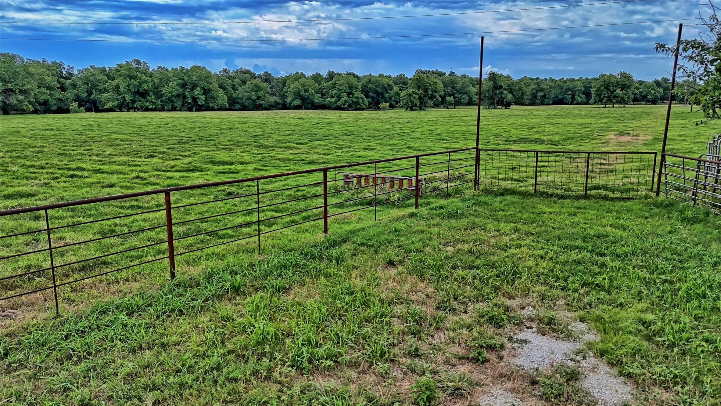Unimproved Land For Sale in Cooke County , 1272 County Road 131, Gainesville, Texas 76240, 0, 0, Garage spaces, 0 Sqft, built in 0, mls#21321697, Real Estate Agent in Gainesville, Homes For Sale in Cooke county, Homes For Sale in Gainesville, Realtor in Gainesville Texas, Real Estate Brokerage Independent Realty Texas, Luminita Cordes Realtor