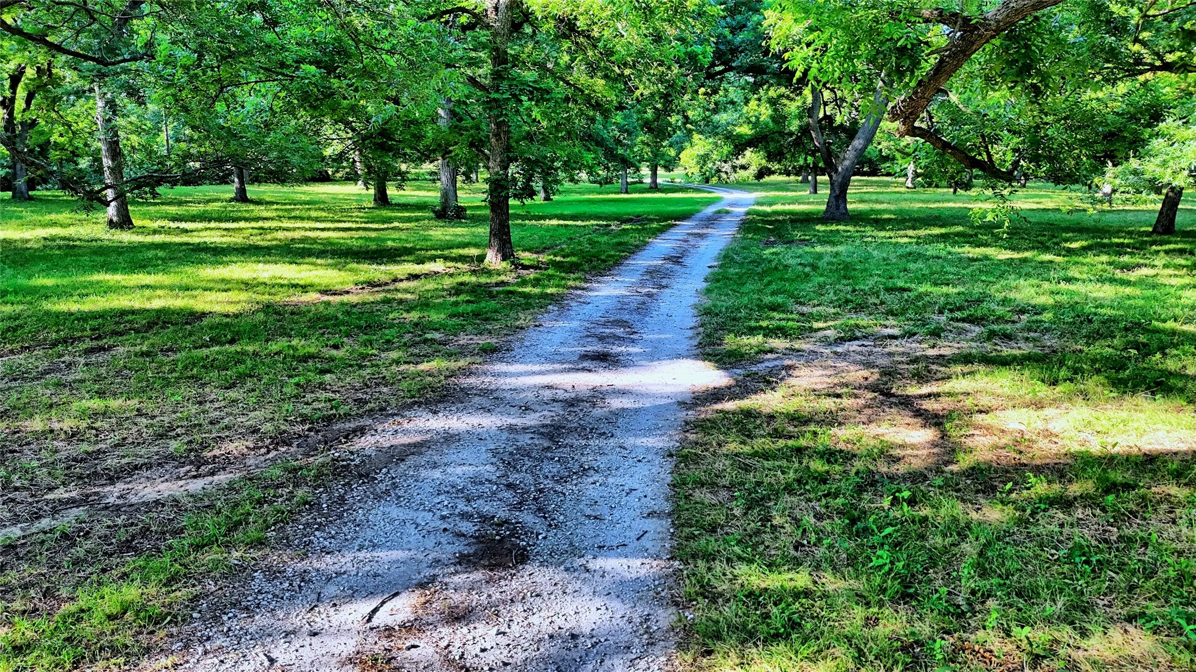 Driveway on East Entry