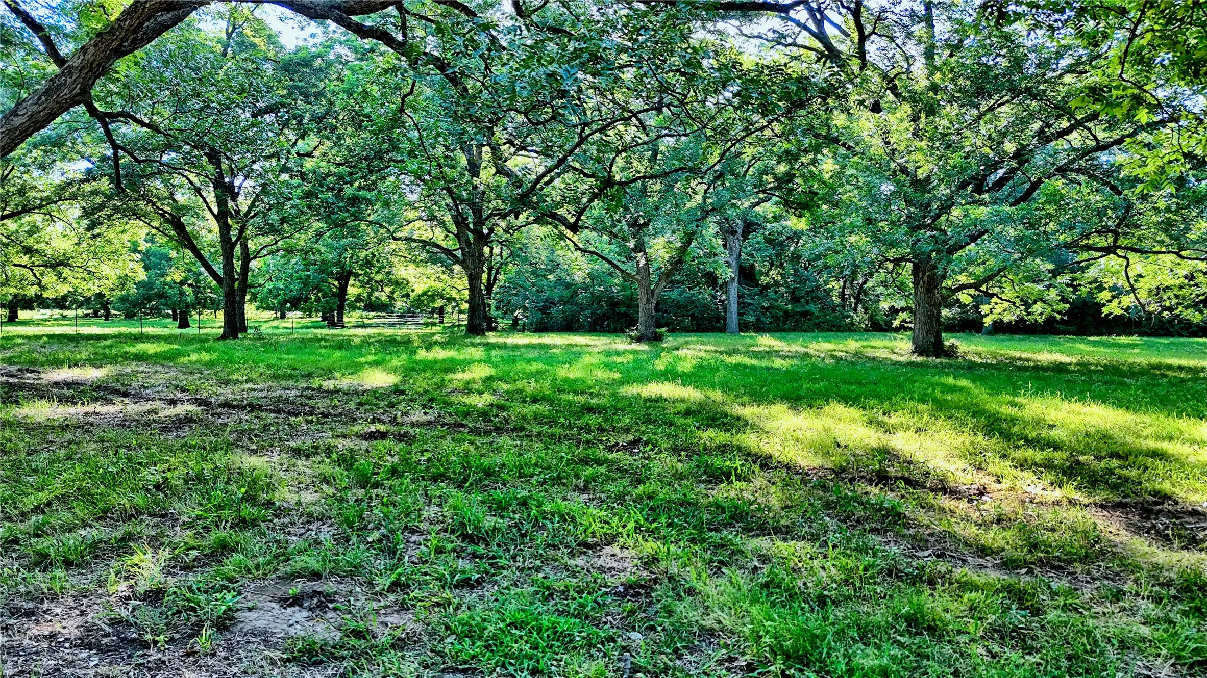 Unimproved Land For Sale in Cooke County , 1272 County Road 131, Gainesville, Texas 76240, 0, 0, Garage spaces, 0 Sqft, built in 0, mls#21321697, Real Estate Agent in Gainesville, Homes For Sale in Cooke county, Homes For Sale in Gainesville, Realtor in Gainesville Texas, Real Estate Brokerage Independent Realty Texas, Luminita Cordes Realtor