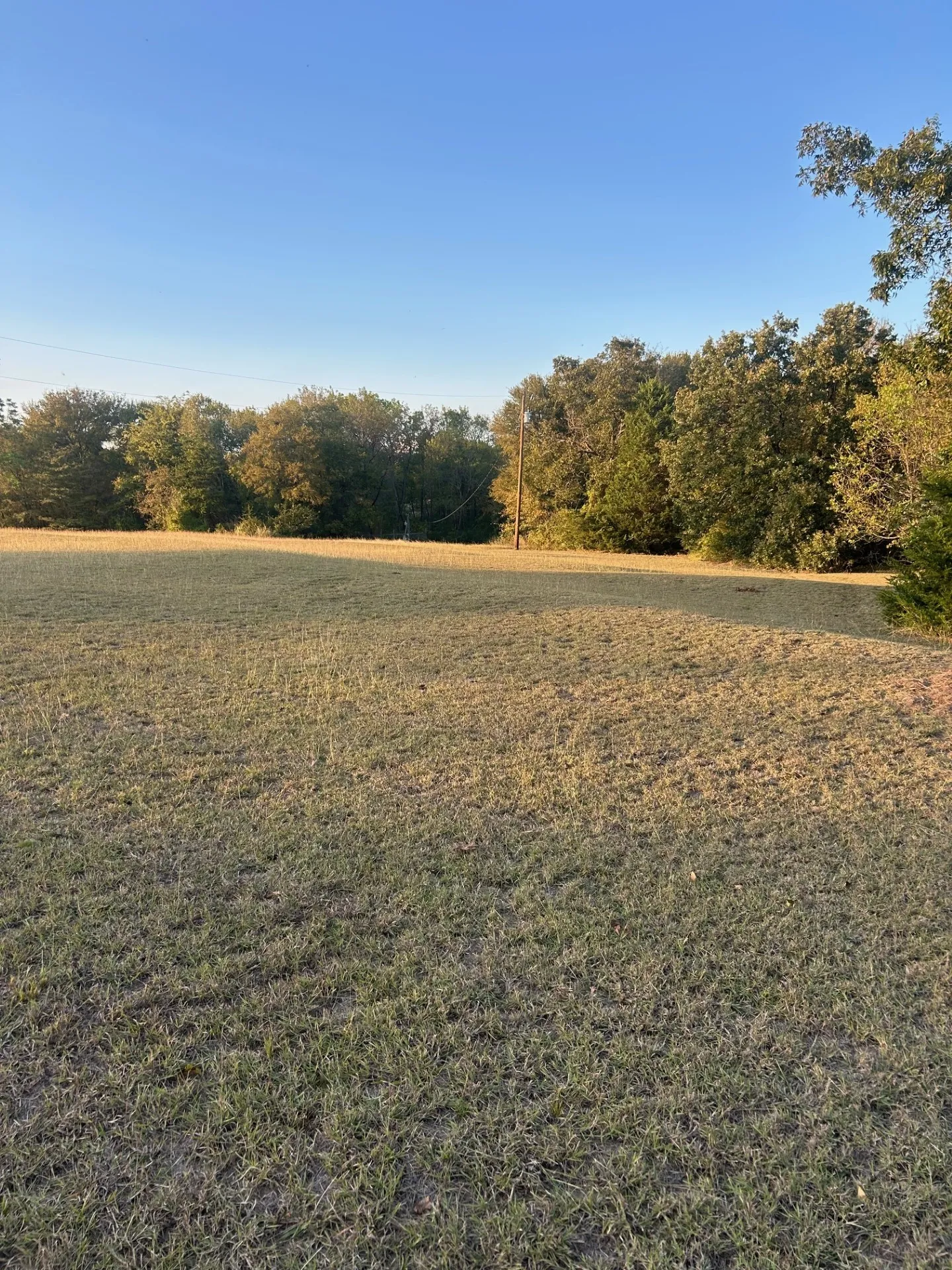 Unimproved Land For Sale in Rains County , 206 Mohawk Trail, East Tawakoni, Texas 75472, 0, 0, Garage spaces, 0 Sqft, built in 0, mls#21321741, Real Estate Agent in East Tawakoni, Homes For Sale in Rains county, Homes For Sale in East Tawakoni, Realtor in East Tawakoni Texas, Real Estate Brokerage Independent Realty Texas, Luminita Cordes Realtor