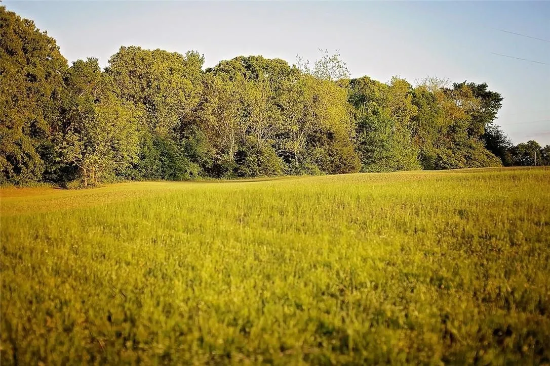 Unimproved Land For Sale in Rains County , 206 Mohawk Trail, East Tawakoni, Texas 75472, 0, 0, Garage spaces, 0 Sqft, built in 0, mls#21321741, Real Estate Agent in East Tawakoni, Homes For Sale in Rains county, Homes For Sale in East Tawakoni, Realtor in East Tawakoni Texas, Real Estate Brokerage Independent Realty Texas, Luminita Cordes Realtor