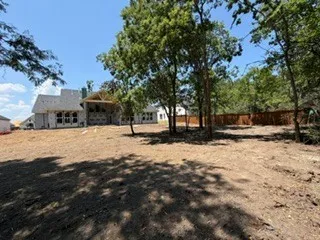 View of backyard