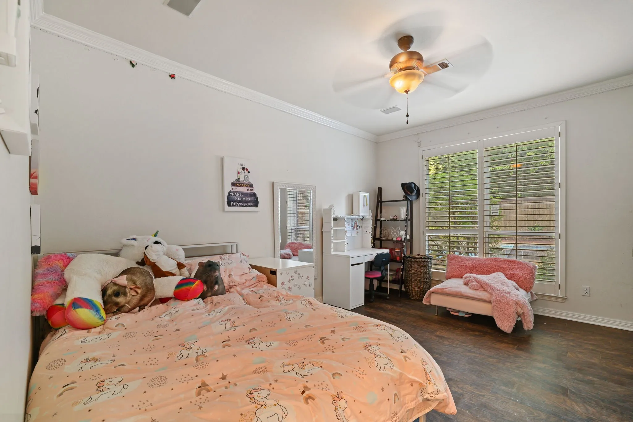 Spacious room featuring wood-finish flooring, a ceiling fan with integrated lighting, and a large window with white plantation shutters