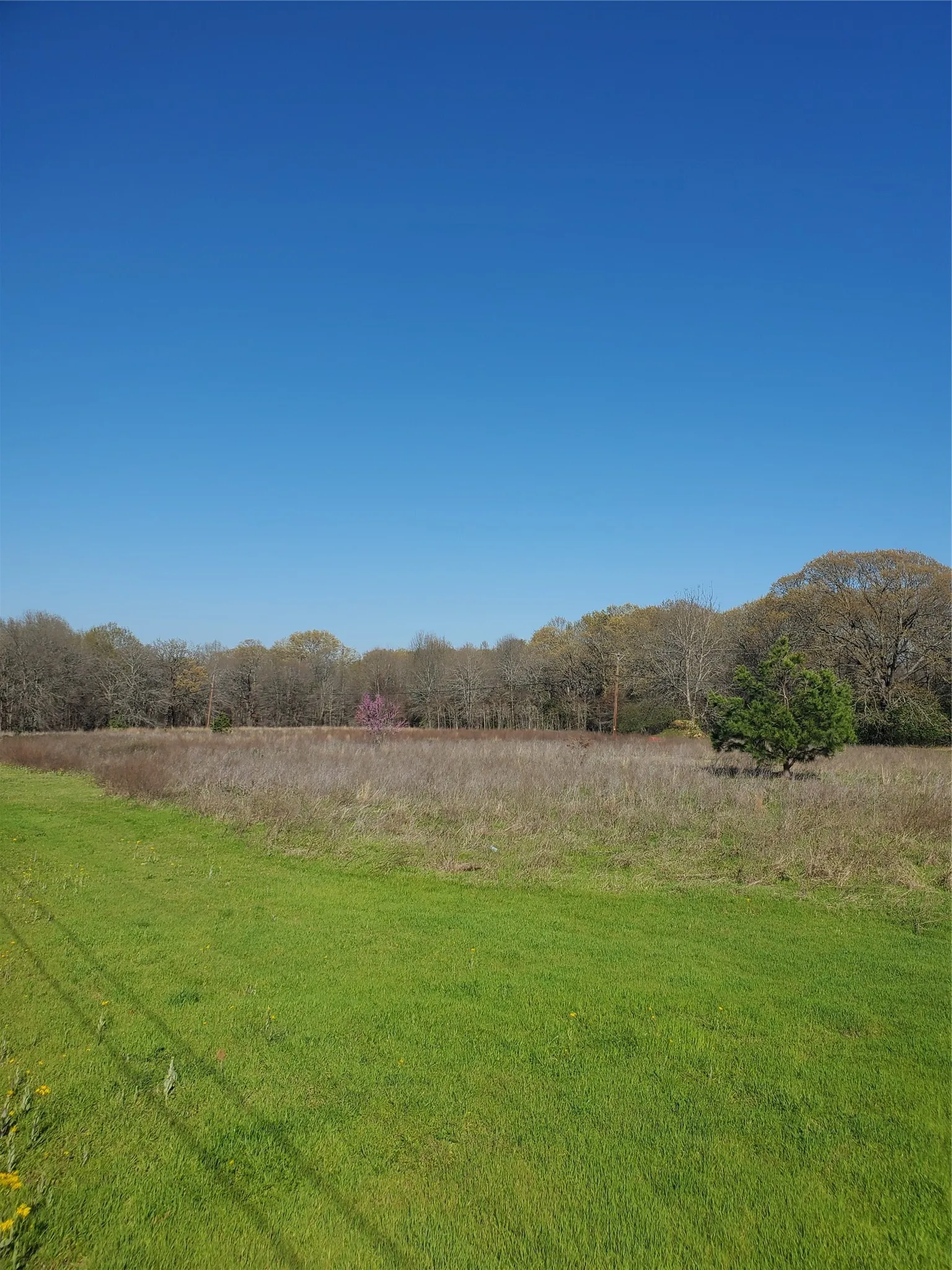 Unimproved Land For Sale in Henderson County , 0 Bayshore Drive, Athens, Texas 75752, 0, 0, Garage spaces, 0 Sqft, built in 0, mls#21321714, Real Estate Agent in Athens, Homes For Sale in Henderson county, Homes For Sale in Athens, Realtor in Athens Texas, Real Estate Brokerage Independent Realty Texas, Luminita Cordes Realtor