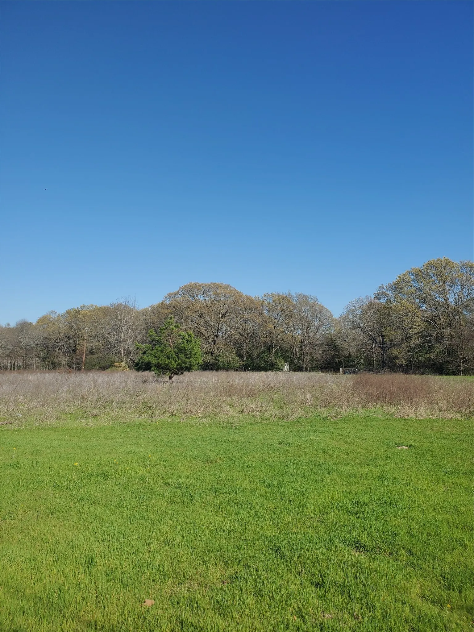 Unimproved Land For Sale in Henderson County , 0 Bayshore Drive, Athens, Texas 75752, 0, 0, Garage spaces, 0 Sqft, built in 0, mls#21321714, Real Estate Agent in Athens, Homes For Sale in Henderson county, Homes For Sale in Athens, Realtor in Athens Texas, Real Estate Brokerage Independent Realty Texas, Luminita Cordes Realtor