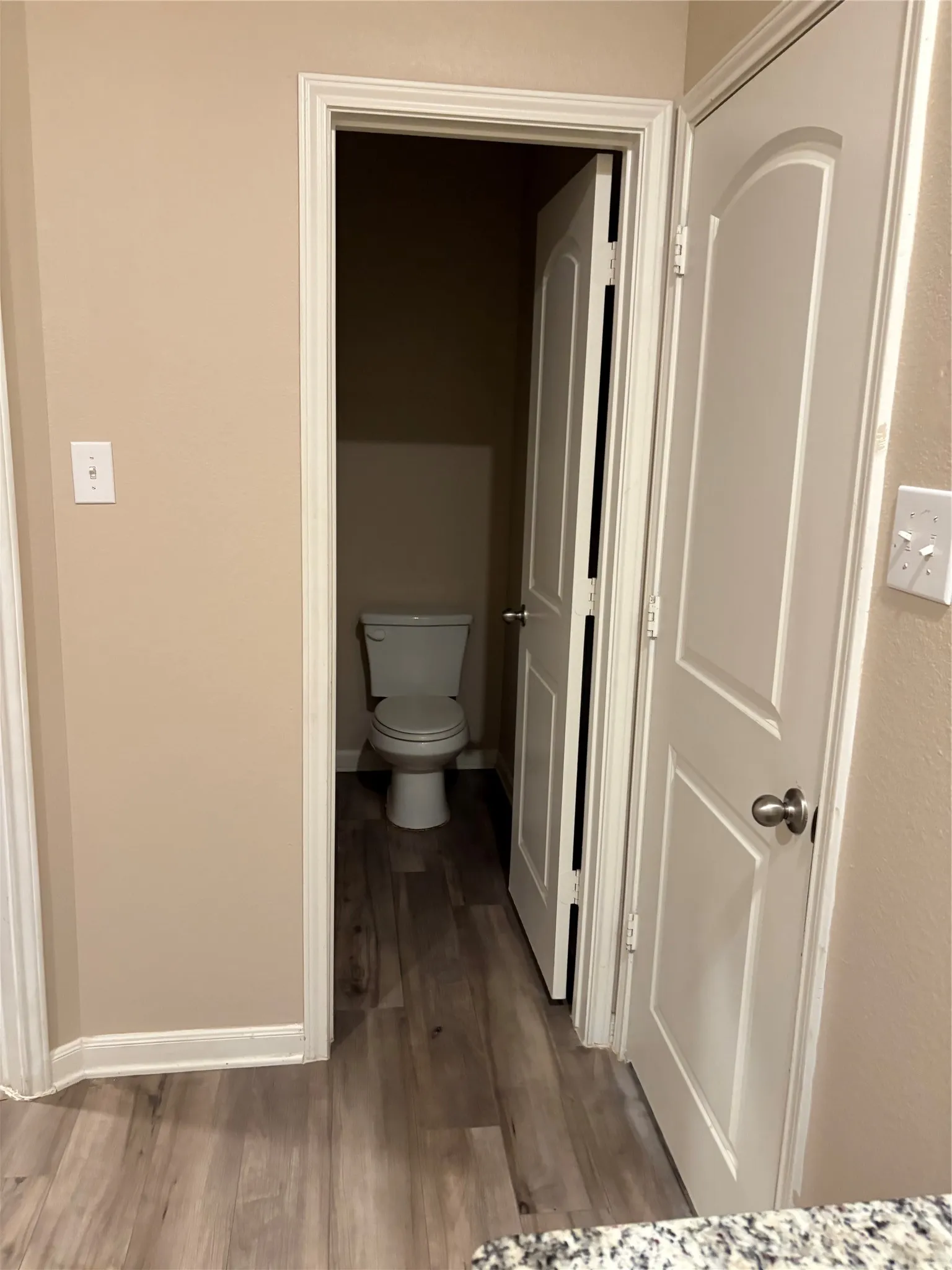 Master Bedroom - Toilet