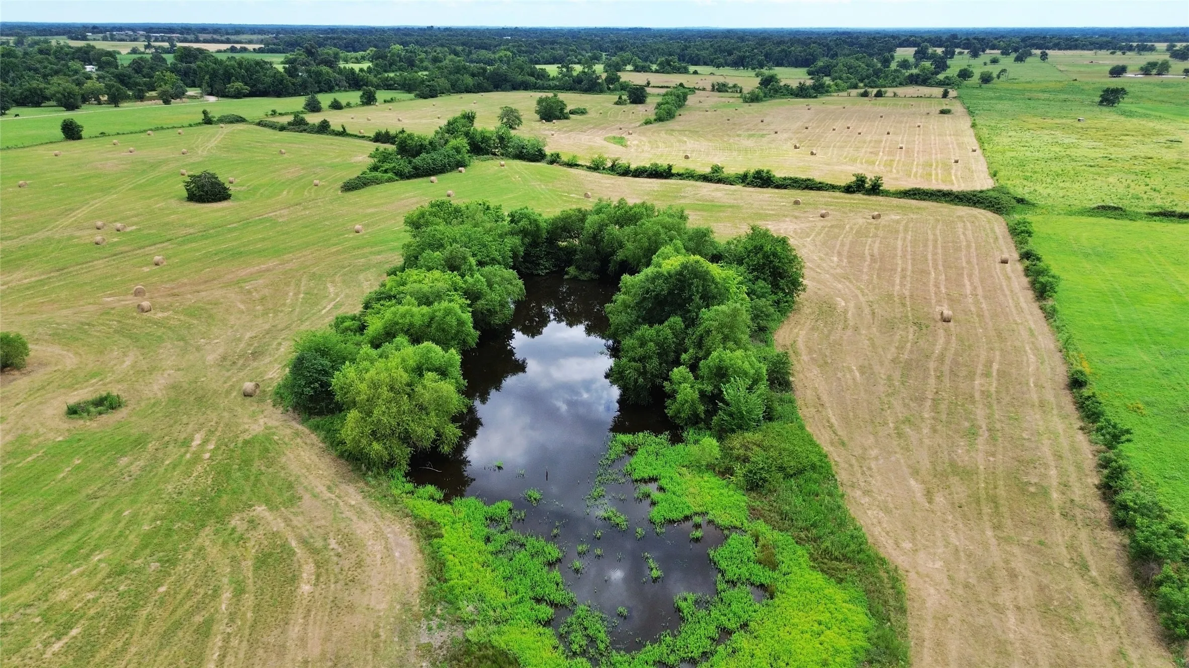 Farm For Sale in Hopkins County , 6818 Texas Highway 11 E, Sulphur Springs, Texas 75482, 4 Bedroom, 3 Bathroom, Garage spaces, 2,300 Sqft, built in 2013, mls#21321589, Real Estate Agent in Sulphur Springs, Homes For Sale in Hopkins county, Homes For Sale in Sulphur Springs, Realtor in Sulphur Springs Texas, Real Estate Brokerage Independent Realty Texas, Luminita Cordes Realtor