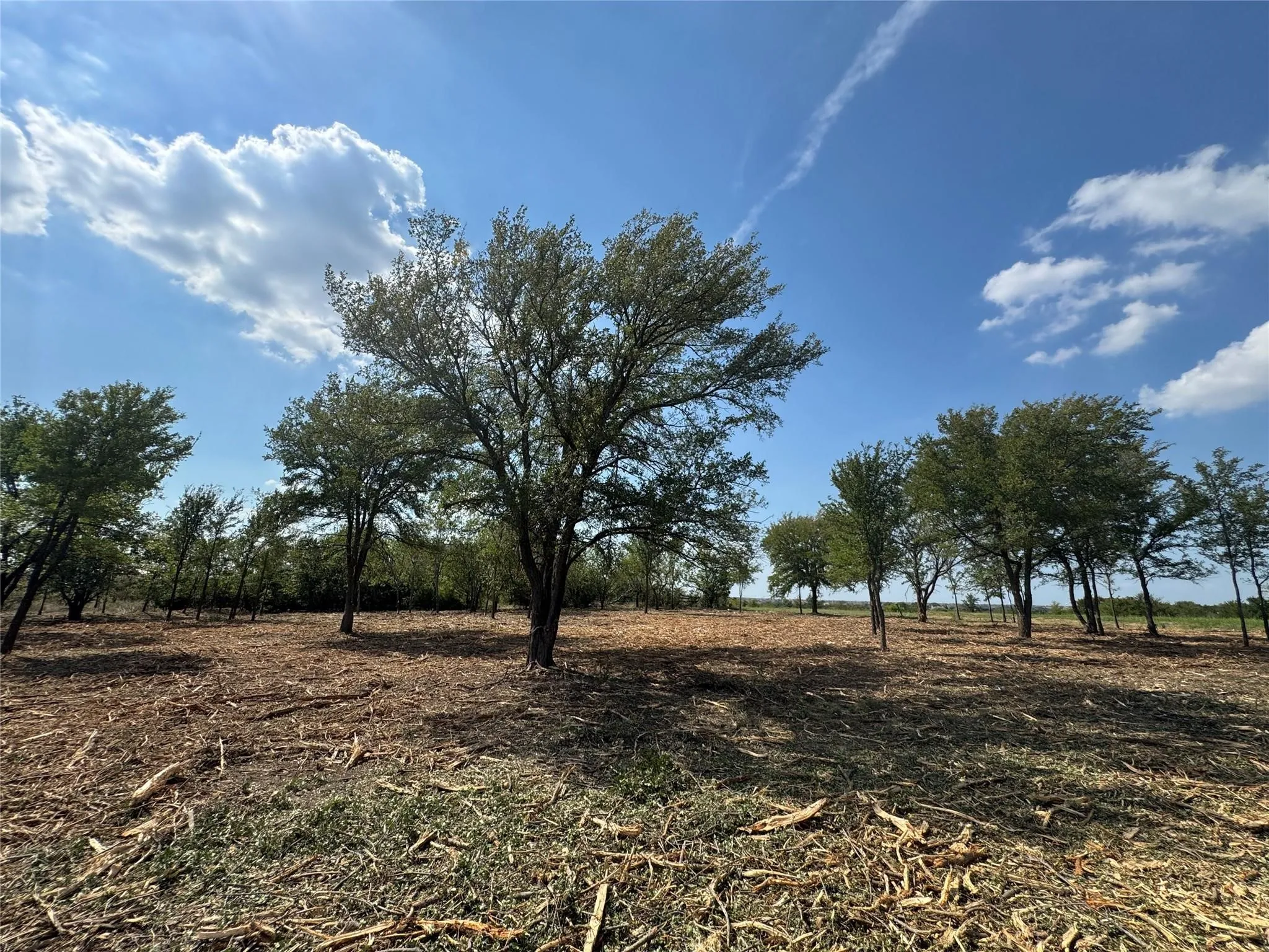 Improved Land For Sale in Denton County , 947 Lilac Lane, Frisco, Texas 75034, 0, 0, Garage spaces, 0 Sqft, built in 0, Price $2,999,000, mls#21321899, Real Estate Agent in Frisco, Homes For Sale in Denton county, Homes For Sale in Frisco, Realtor in Frisco Texas, Real Estate Brokerage Independent Realty Texas, Luminita Cordes Realtor