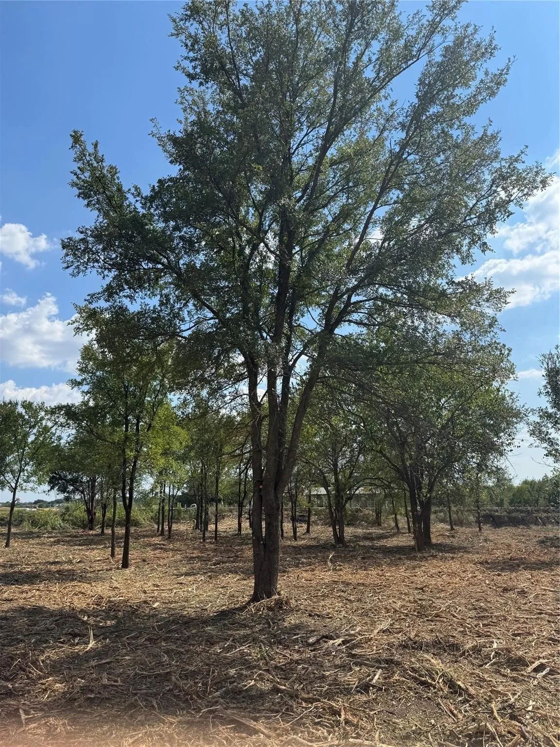 Improved Land For Sale in Denton County , 947 Lilac Lane, Frisco, Texas 75034, 0, 0, Garage spaces, 0 Sqft, built in 0, Price $2,999,000, mls#21321899, Real Estate Agent in Frisco, Homes For Sale in Denton county, Homes For Sale in Frisco, Realtor in Frisco Texas, Real Estate Brokerage Independent Realty Texas, Luminita Cordes Realtor
