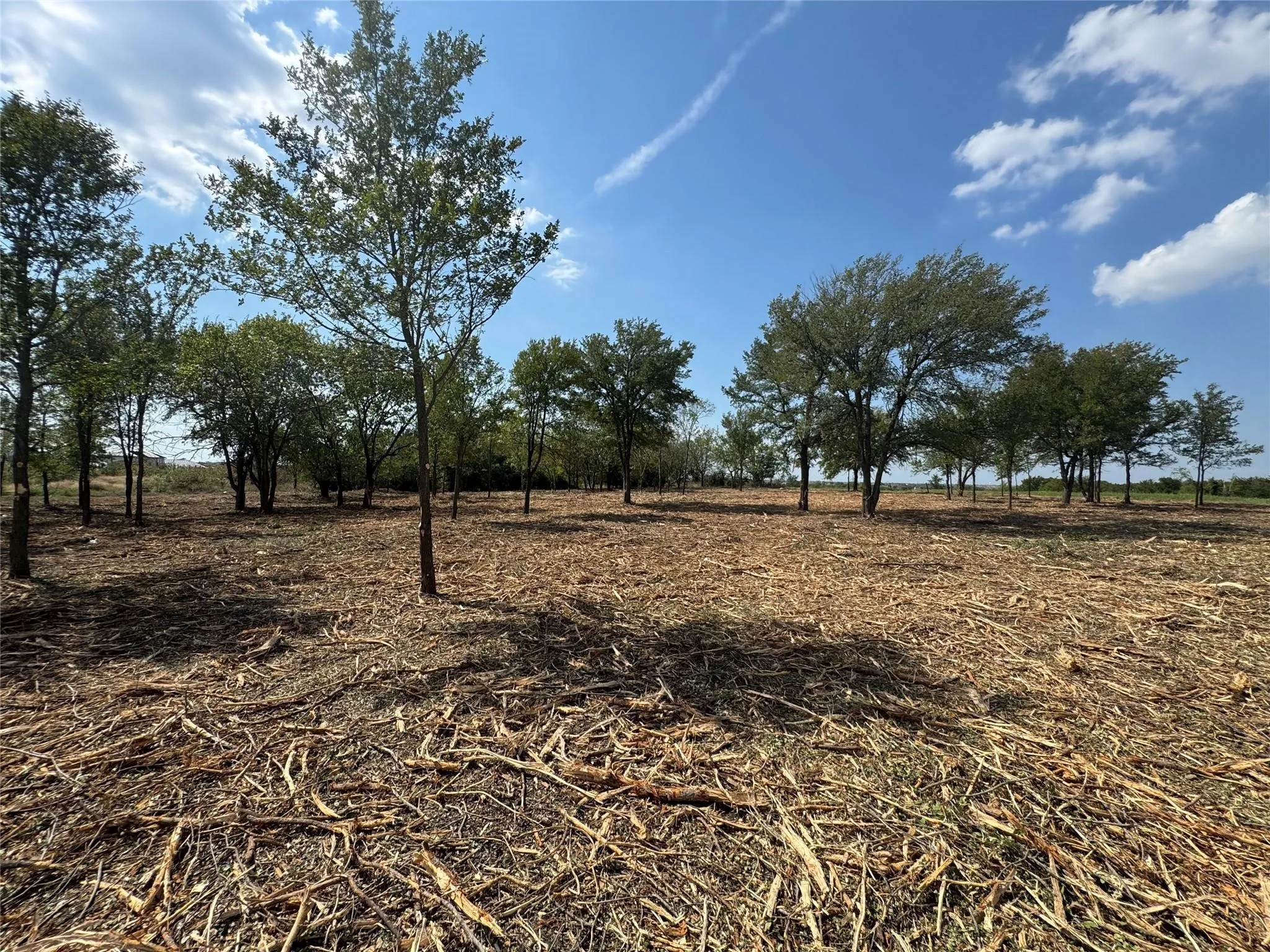 Improved Land For Sale in Denton County , 947 Lilac Lane, Frisco, Texas 75034, 0, 0, Garage spaces, 0 Sqft, built in 0, Price $2,999,000, mls#21321899, Real Estate Agent in Frisco, Homes For Sale in Denton county, Homes For Sale in Frisco, Realtor in Frisco Texas, Real Estate Brokerage Independent Realty Texas, Luminita Cordes Realtor
