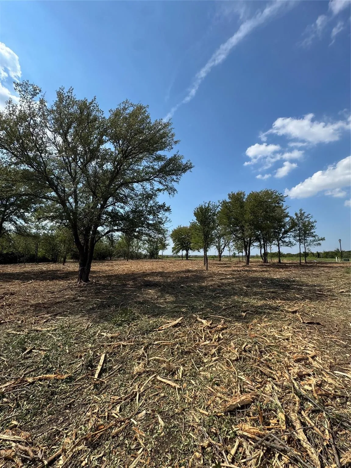 Improved Land For Sale in Denton County , 947 Lilac Lane, Frisco, Texas 75034, 0, 0, Garage spaces, 0 Sqft, built in 0, Price $2,999,000, mls#21321899, Real Estate Agent in Frisco, Homes For Sale in Denton county, Homes For Sale in Frisco, Realtor in Frisco Texas, Real Estate Brokerage Independent Realty Texas, Luminita Cordes Realtor